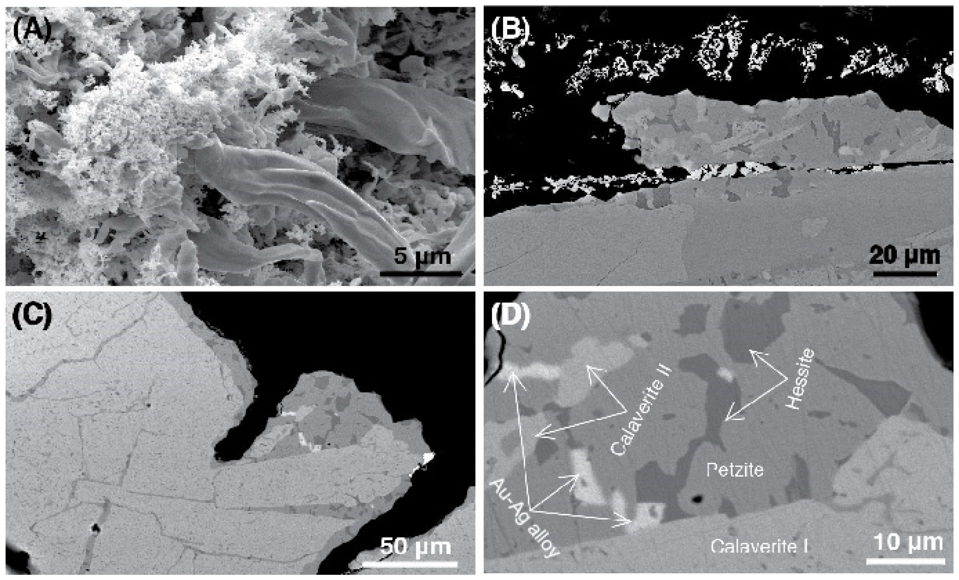 Minerals 09 00167 g009 550