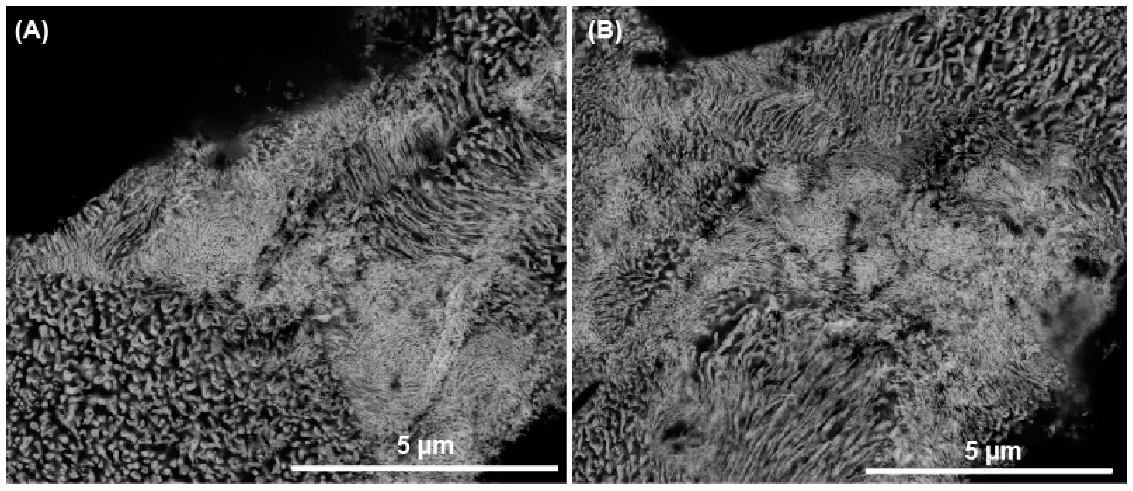 Minerals 09 00167 g011 550