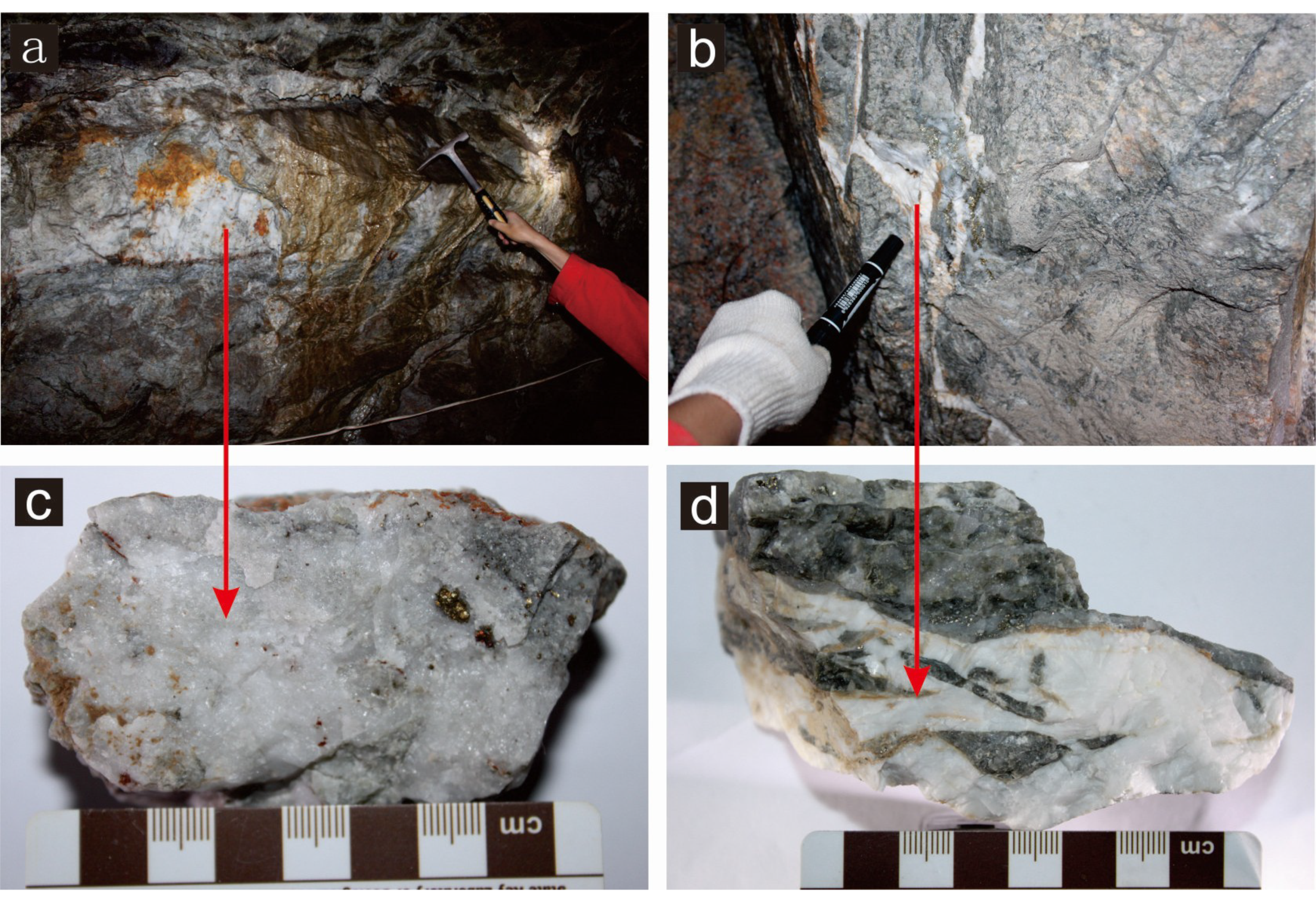 Minerals 09 00190 g008
