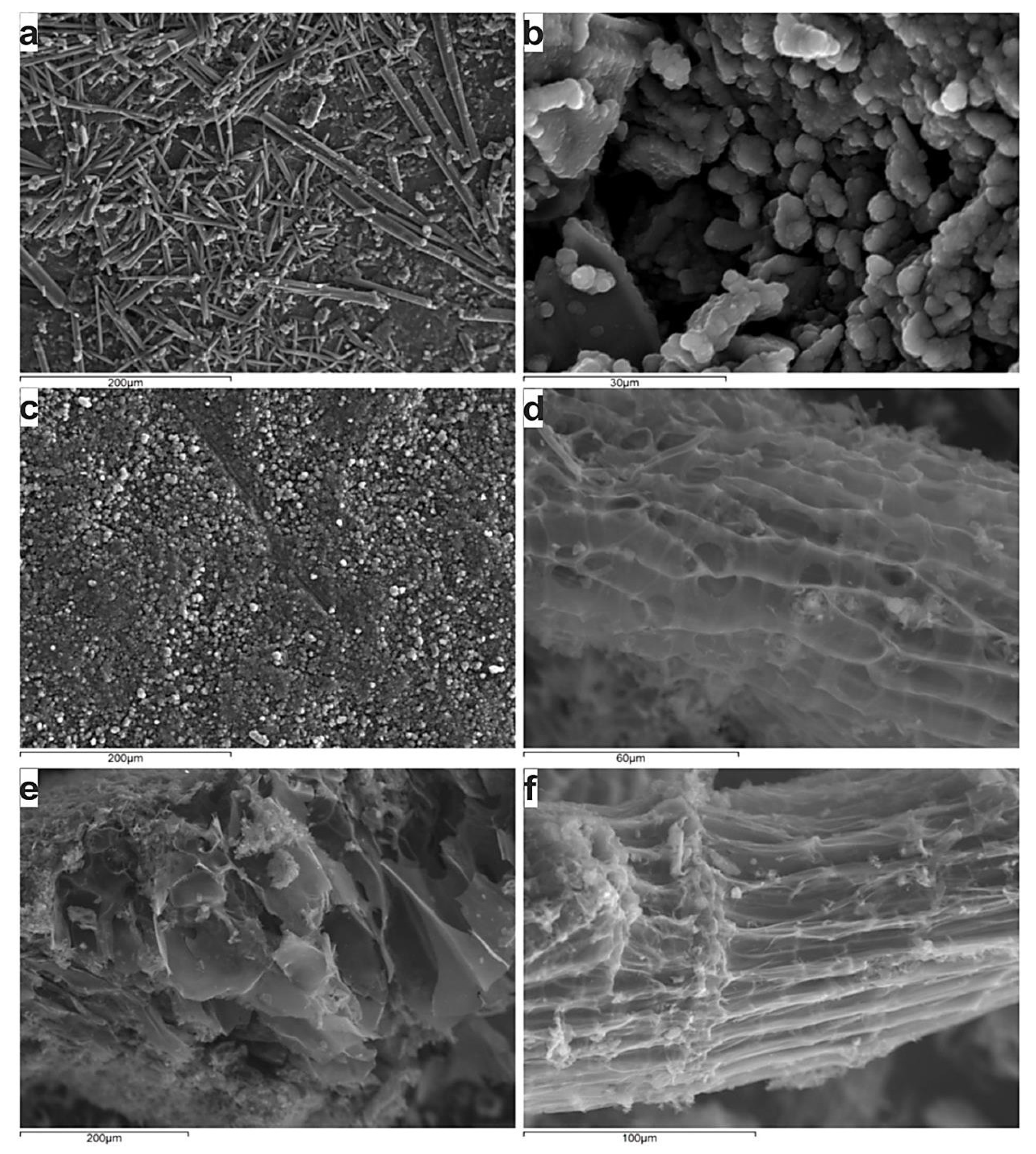 Minerals 09 00207 g008