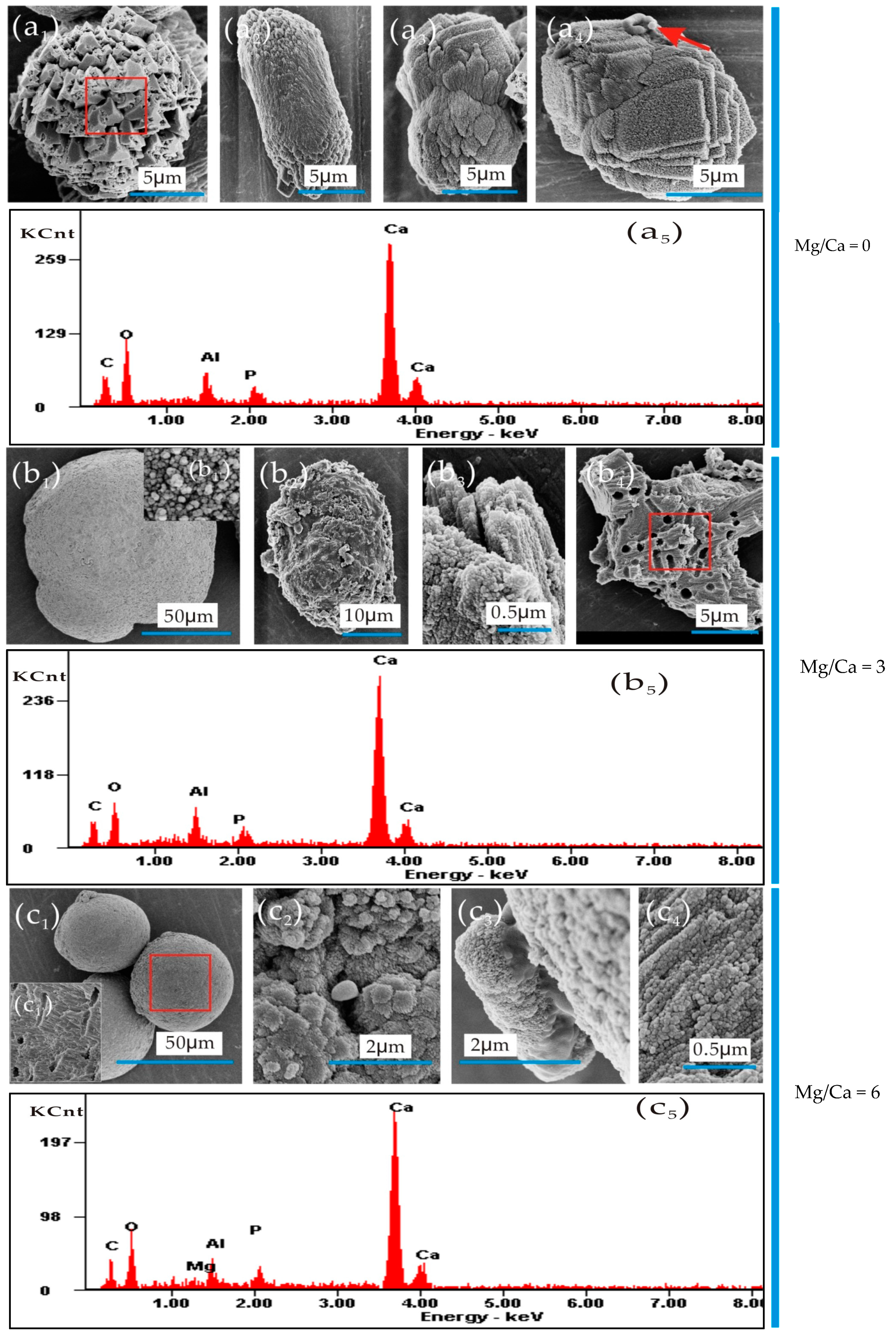 Minerals 09 00218 g005a