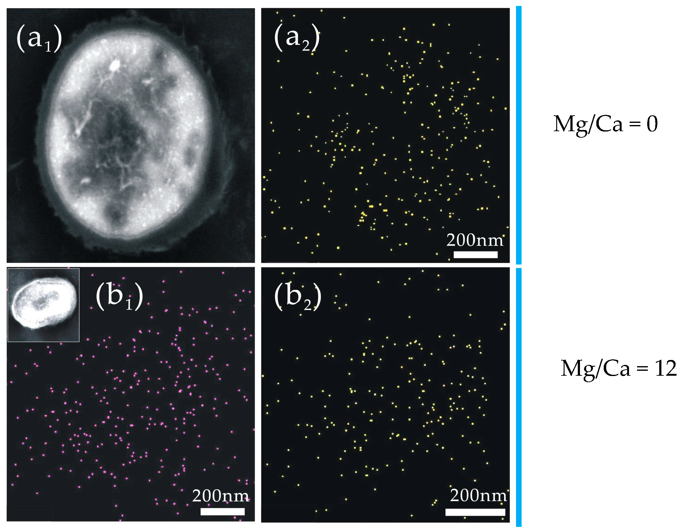 Minerals 09 00218 g009