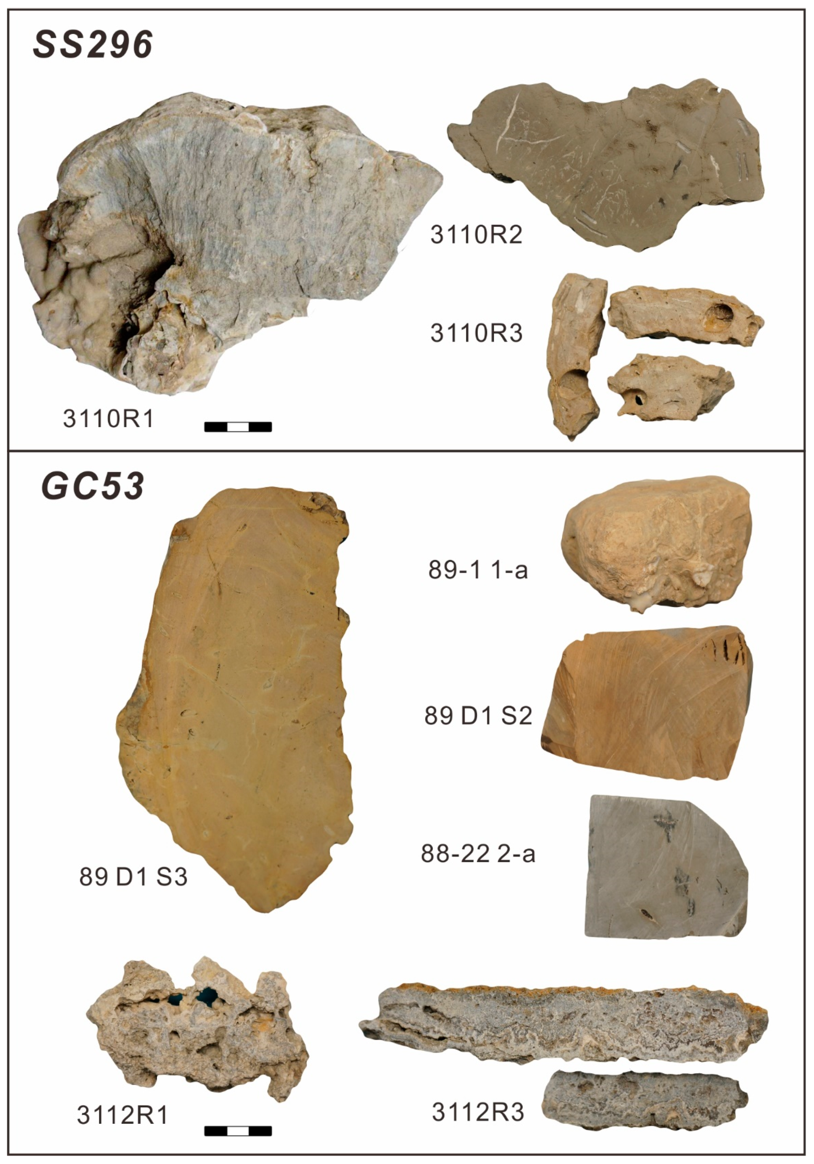 Minerals 09 00251 g002