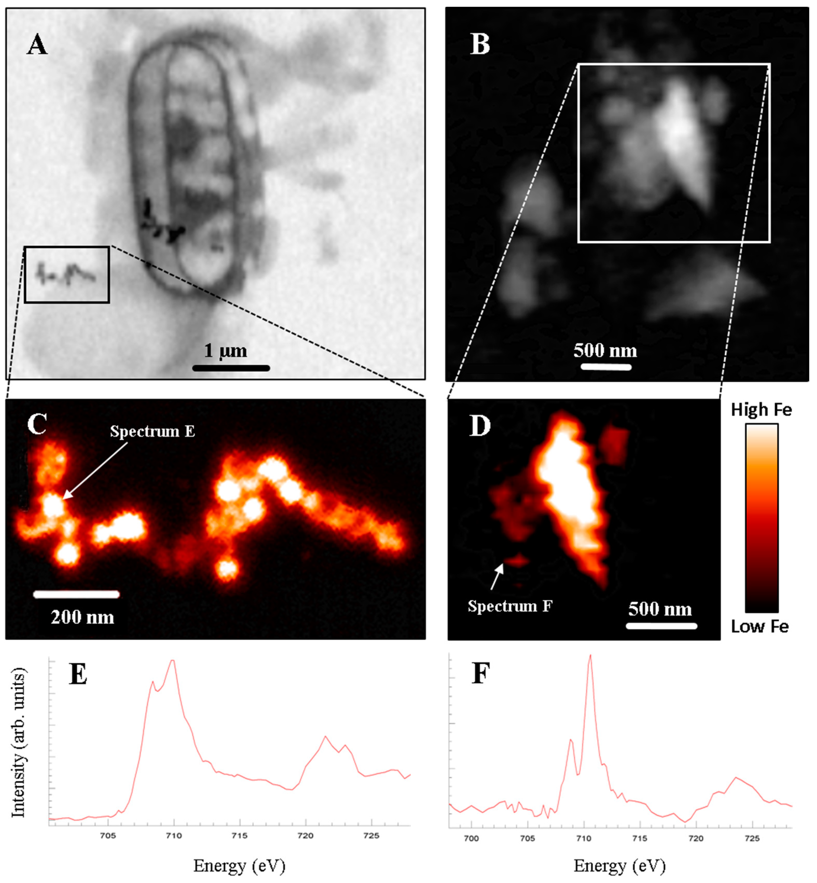 Minerals 09 00287 g003