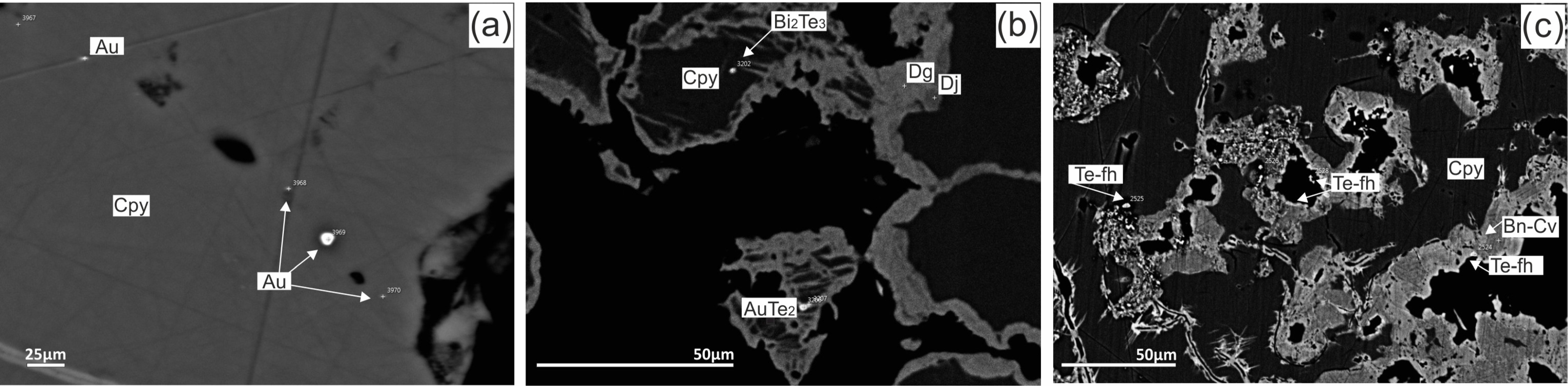 Minerals 09 00294 g006