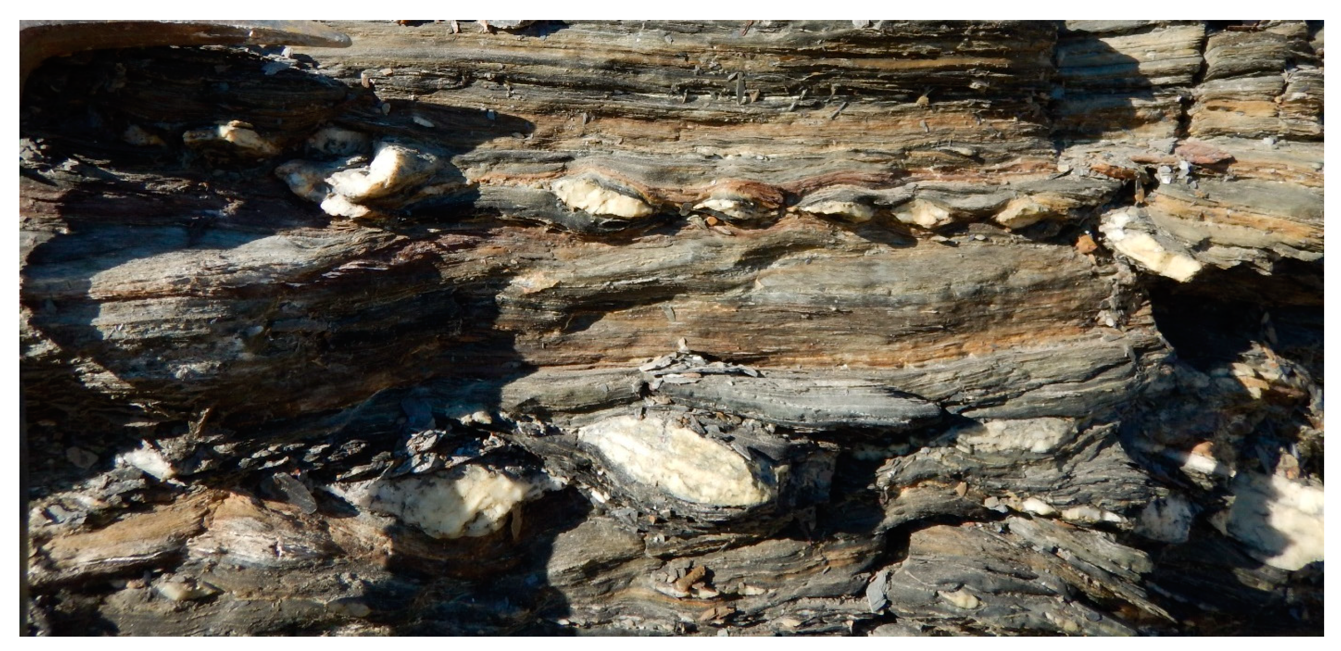 Minerals 09 00302 g004 550