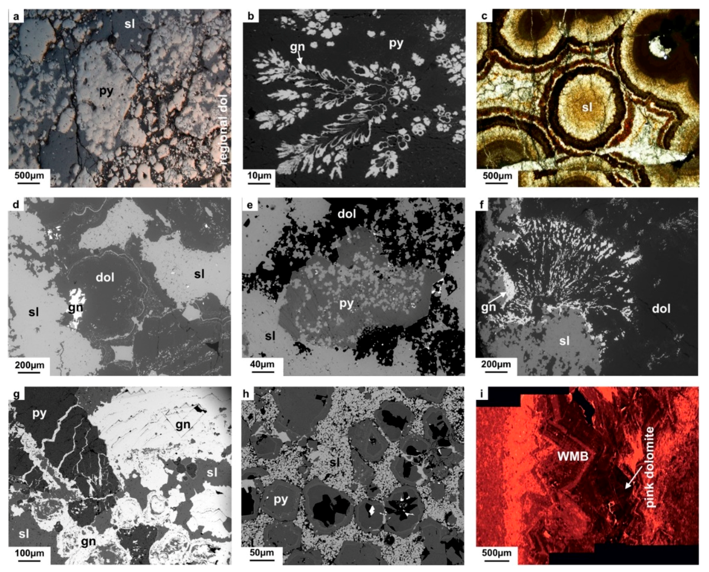 Minerals 09 00335 g006