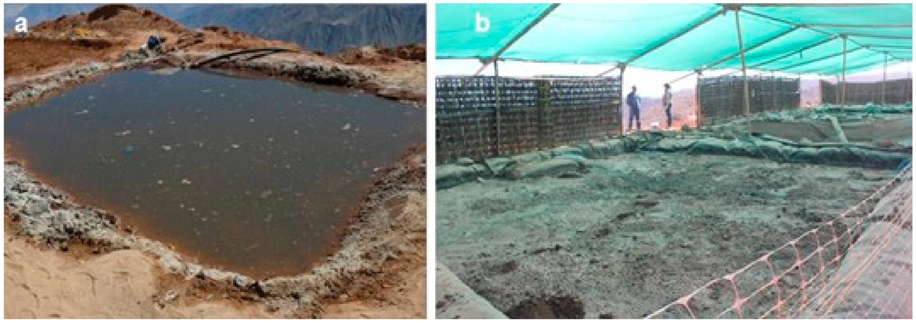 Minerals 09 00345 g005