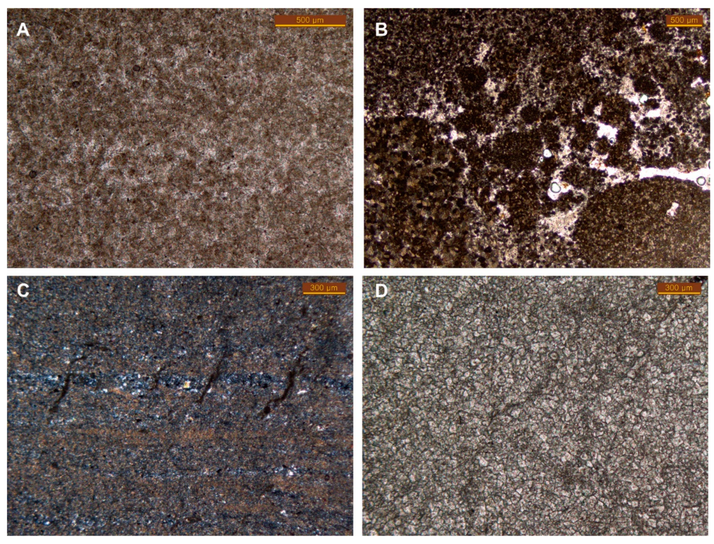 Minerals 09 00348 g003