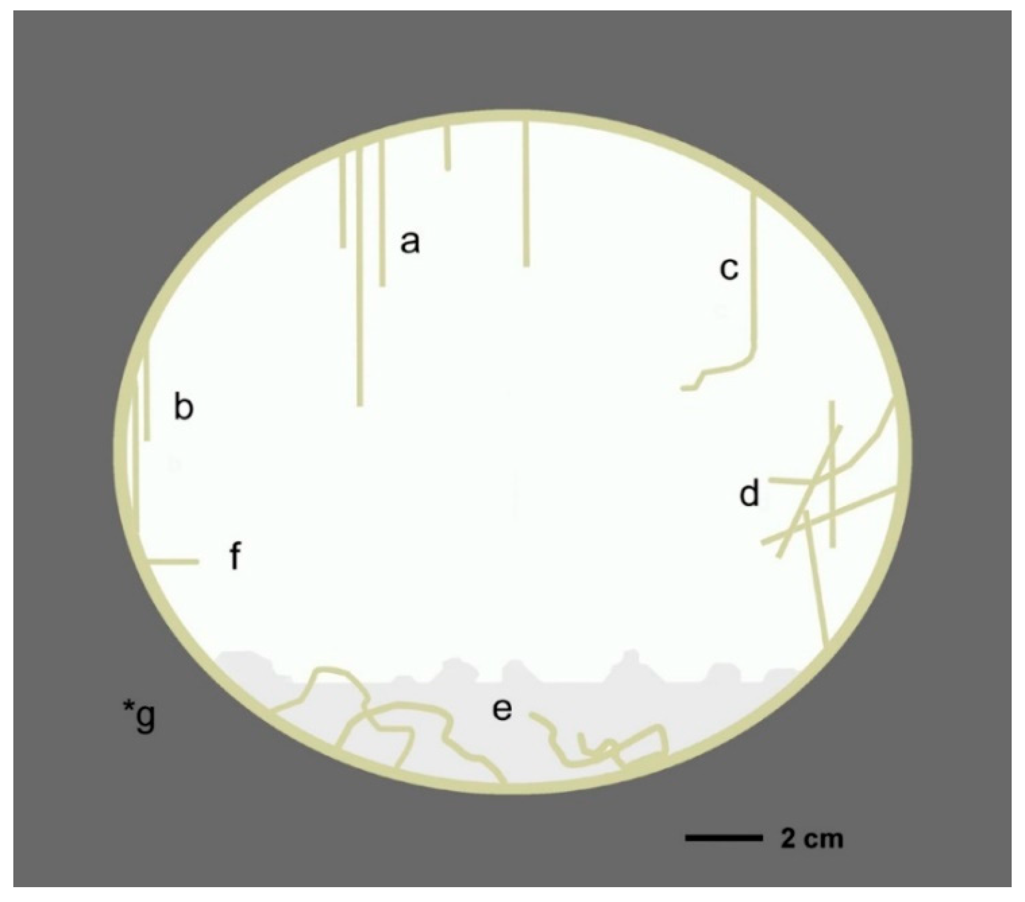 Minerals 09 00351 g007
