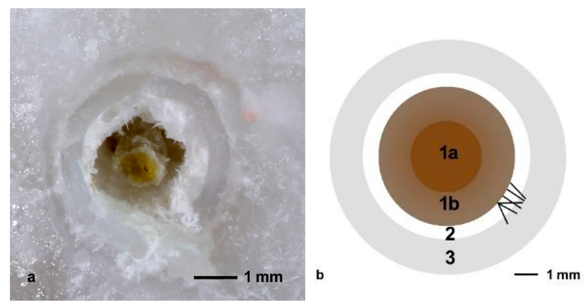 Minerals 09 00351 g009