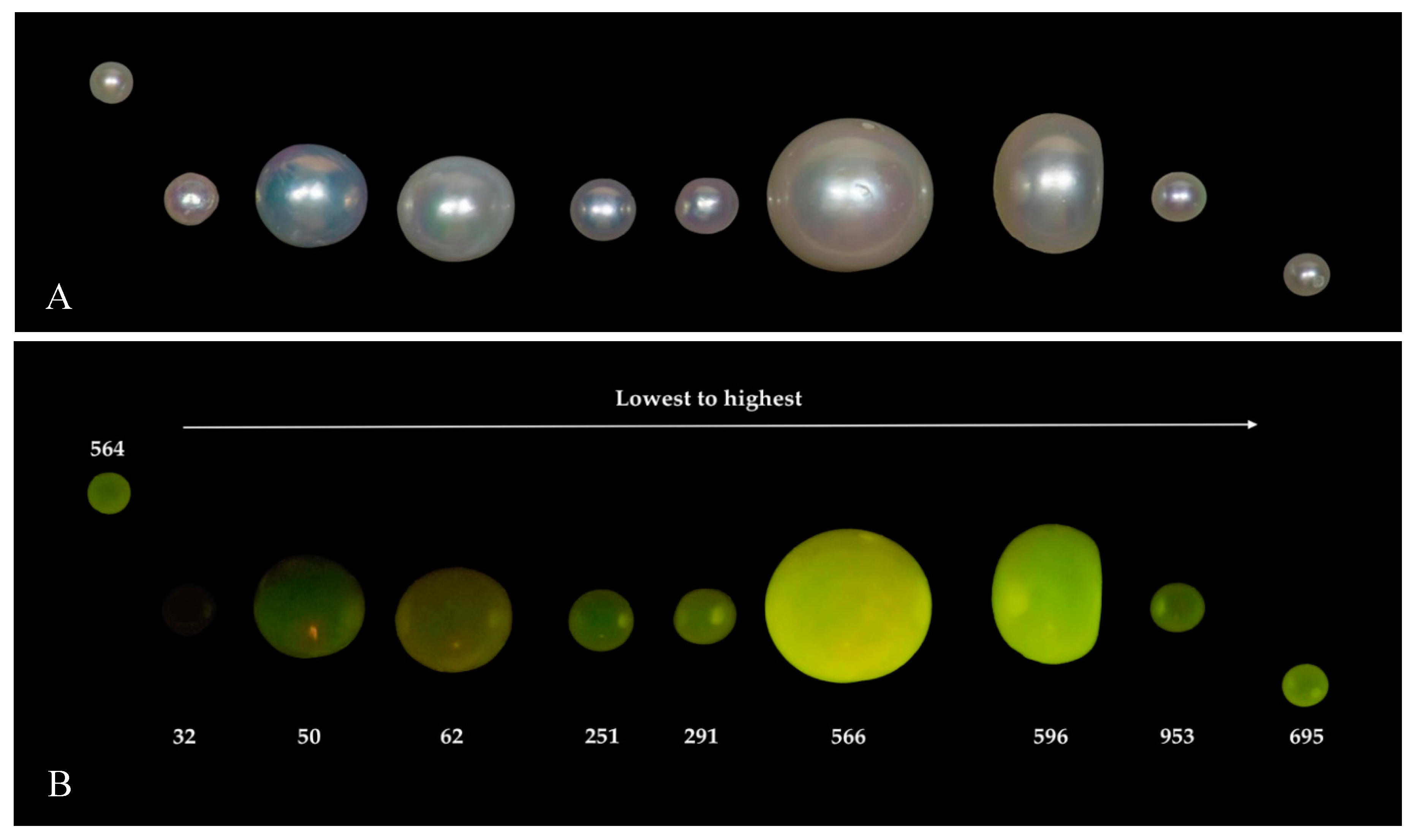 Minerals 09 00357 g006