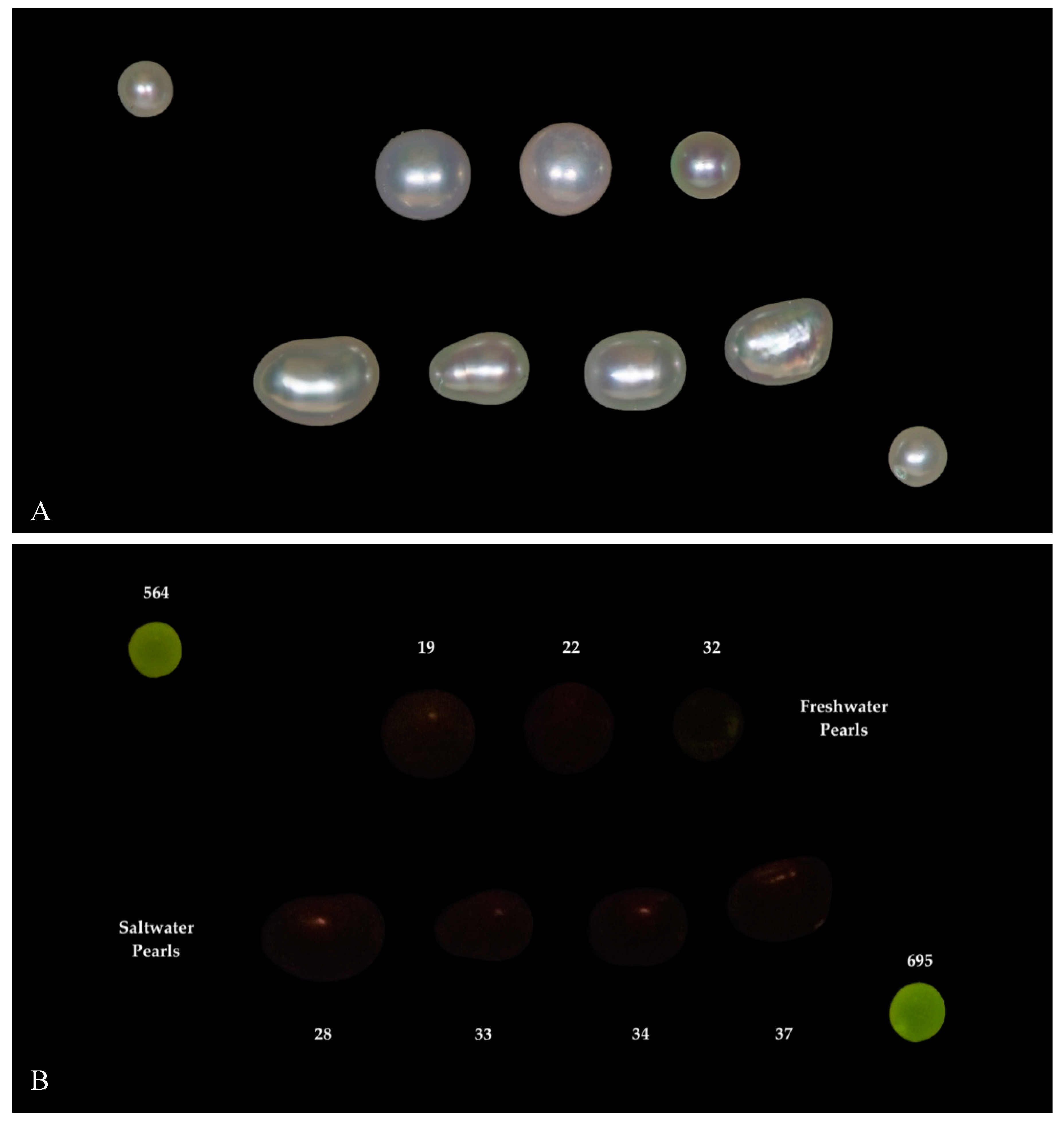 Minerals 09 00357 g009
