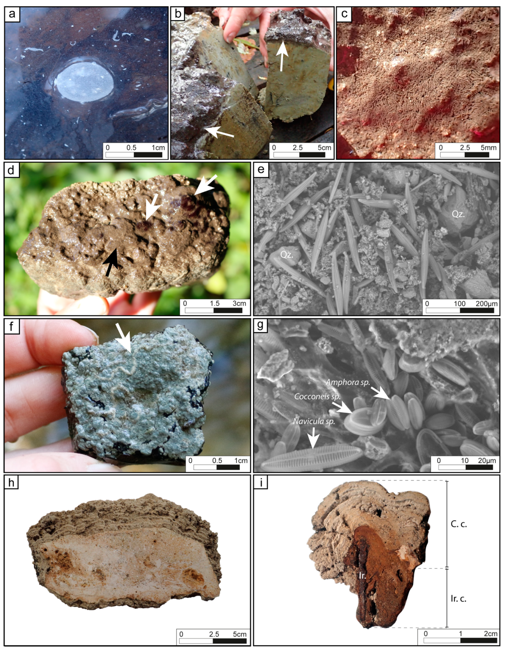 Minerals 09 00359 g003 Minerals 09 00359 g003