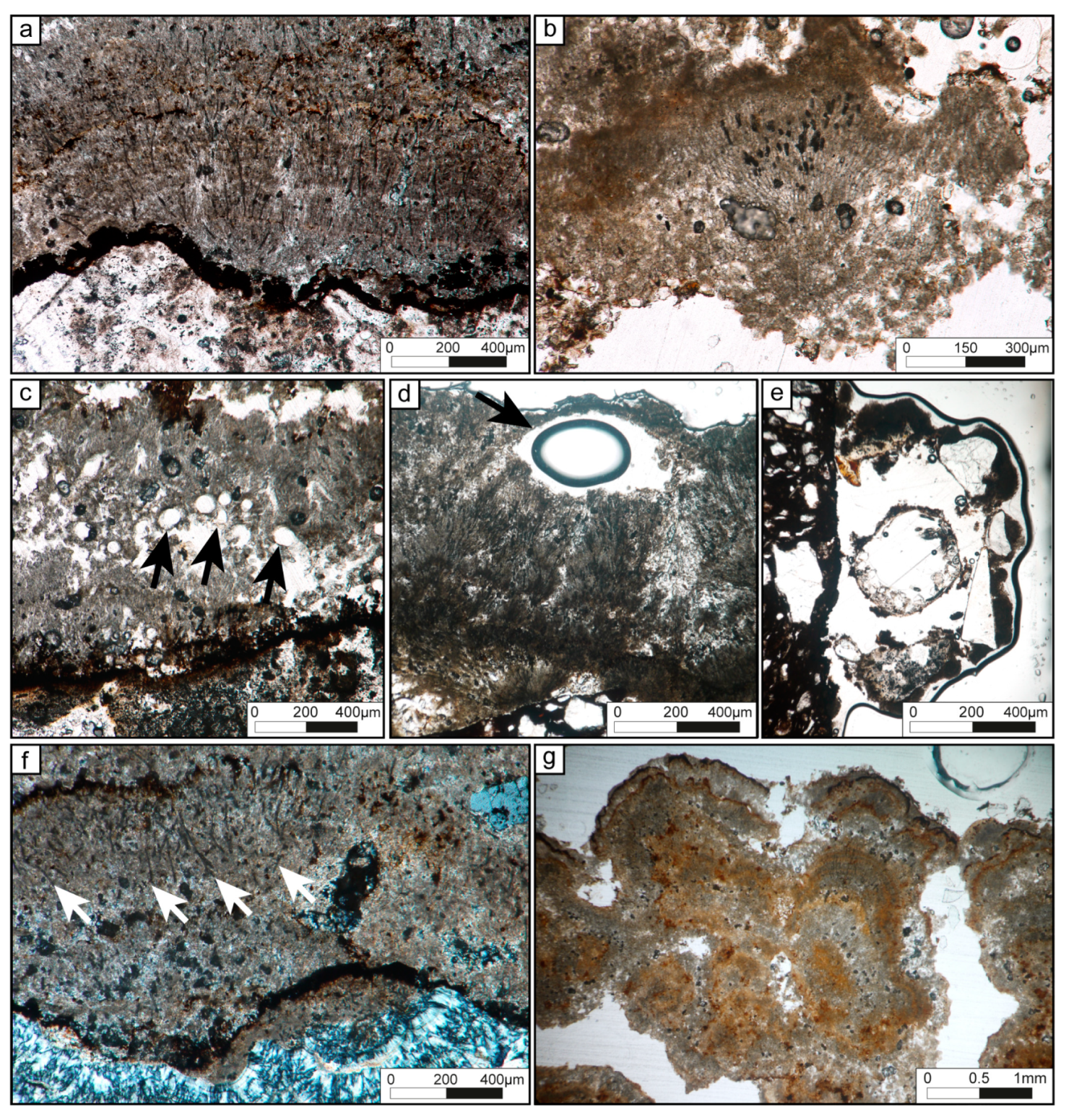 Minerals 09 00359 g004 Minerals 09 00359 g004