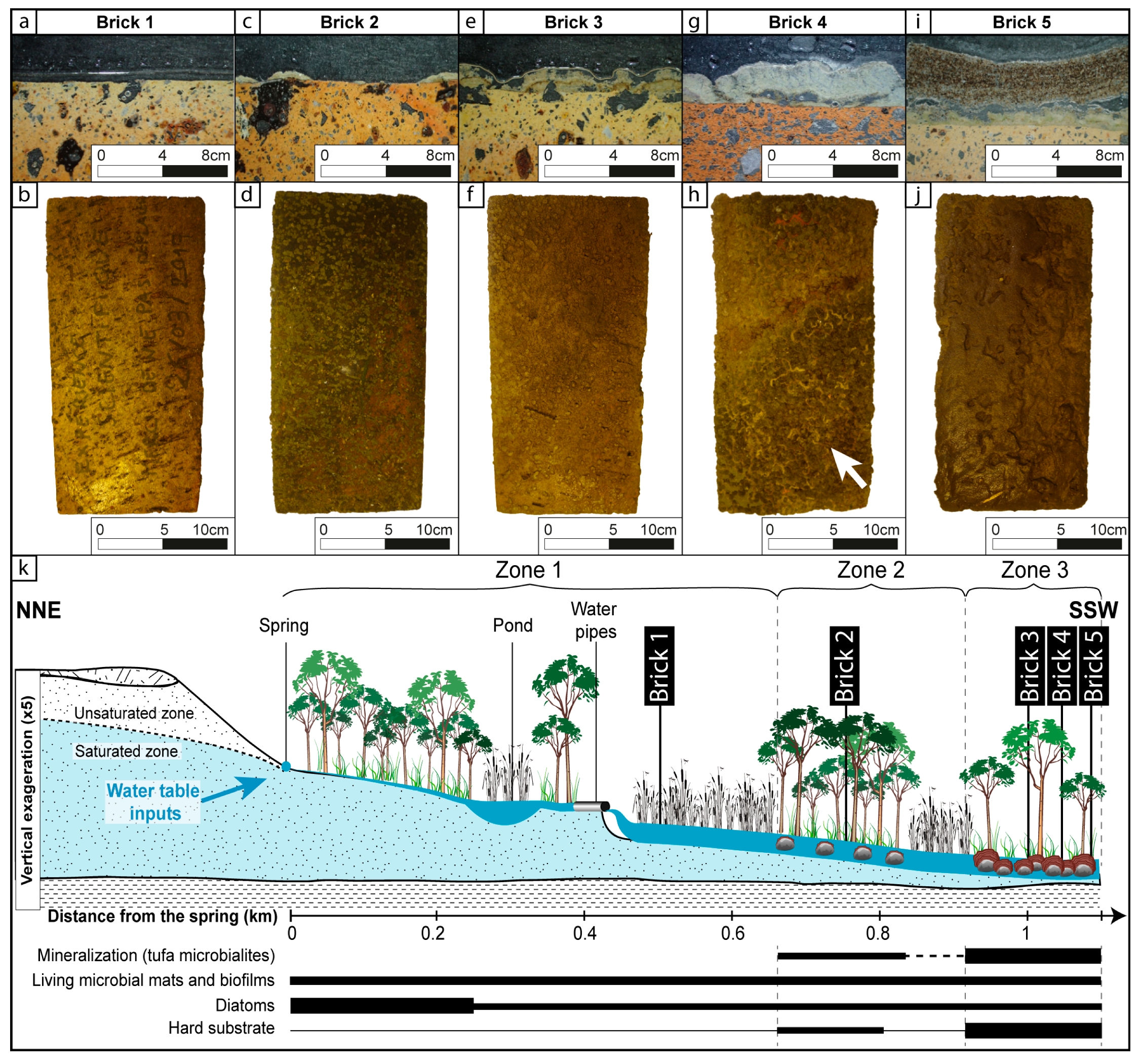 Minerals 09 00359 g007 Minerals 09 00359 g007