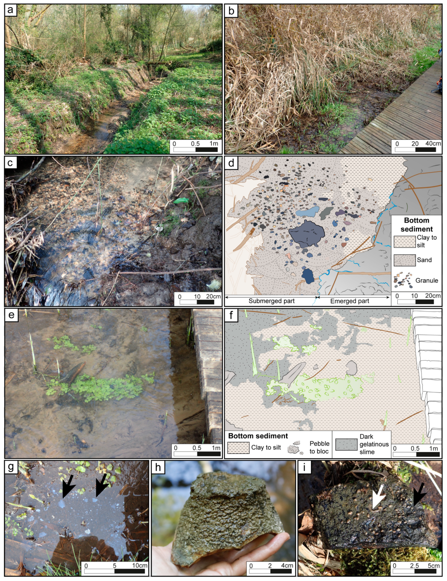 Minerals 09 00359 g009 Minerals 09 00359 g009