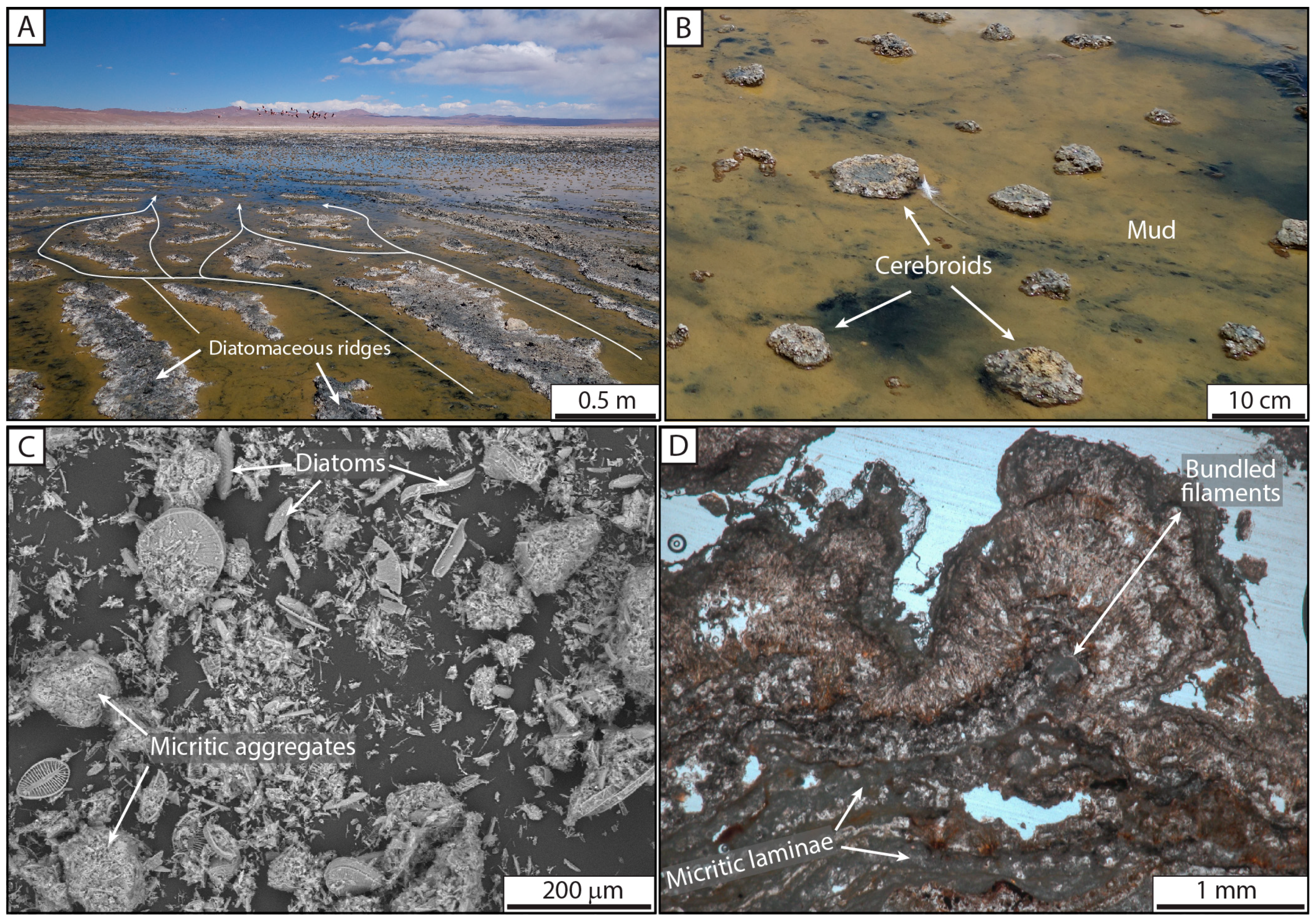 Minerals 09 00380 g010
