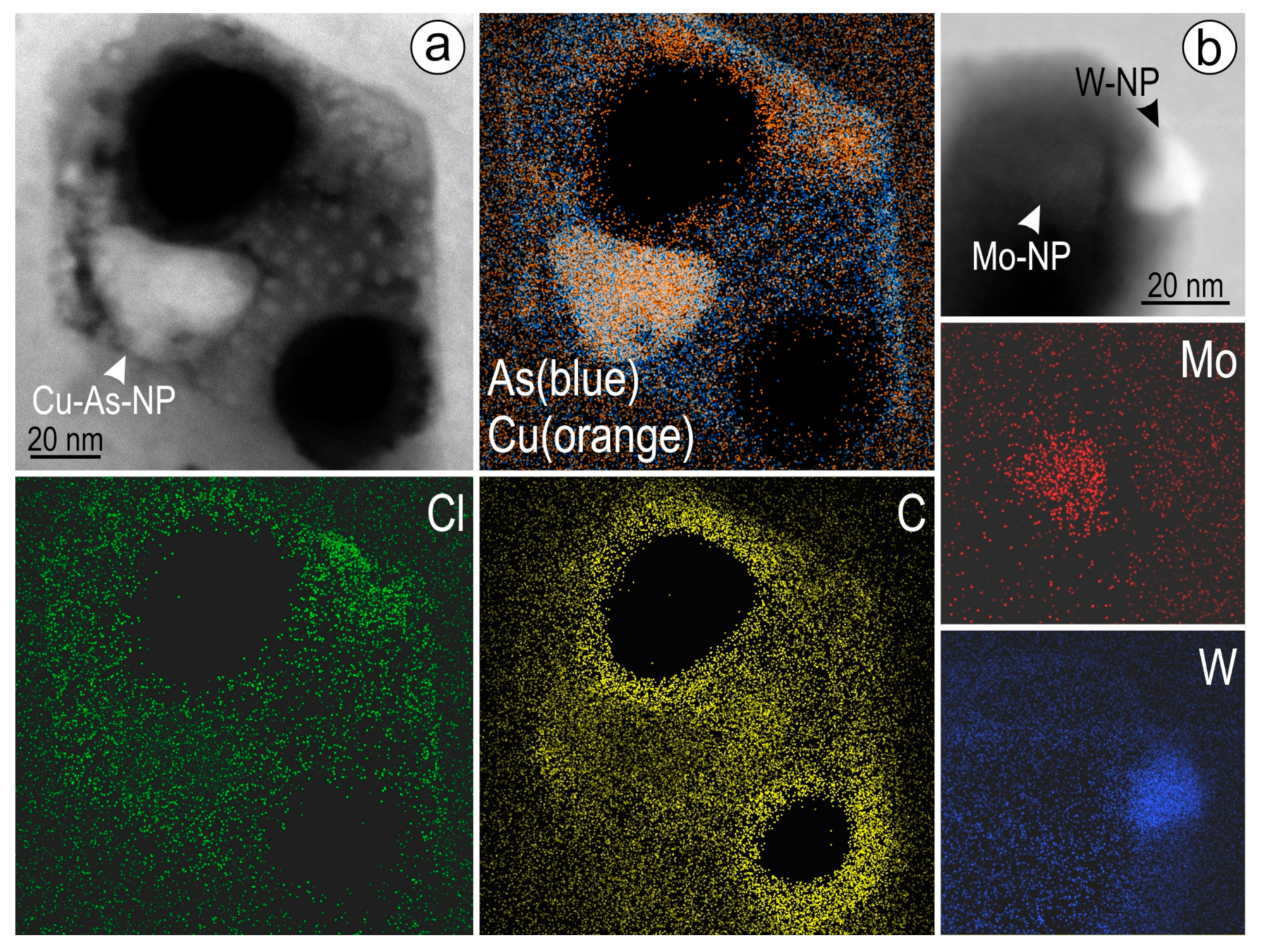 Minerals 09 00388 g007 550