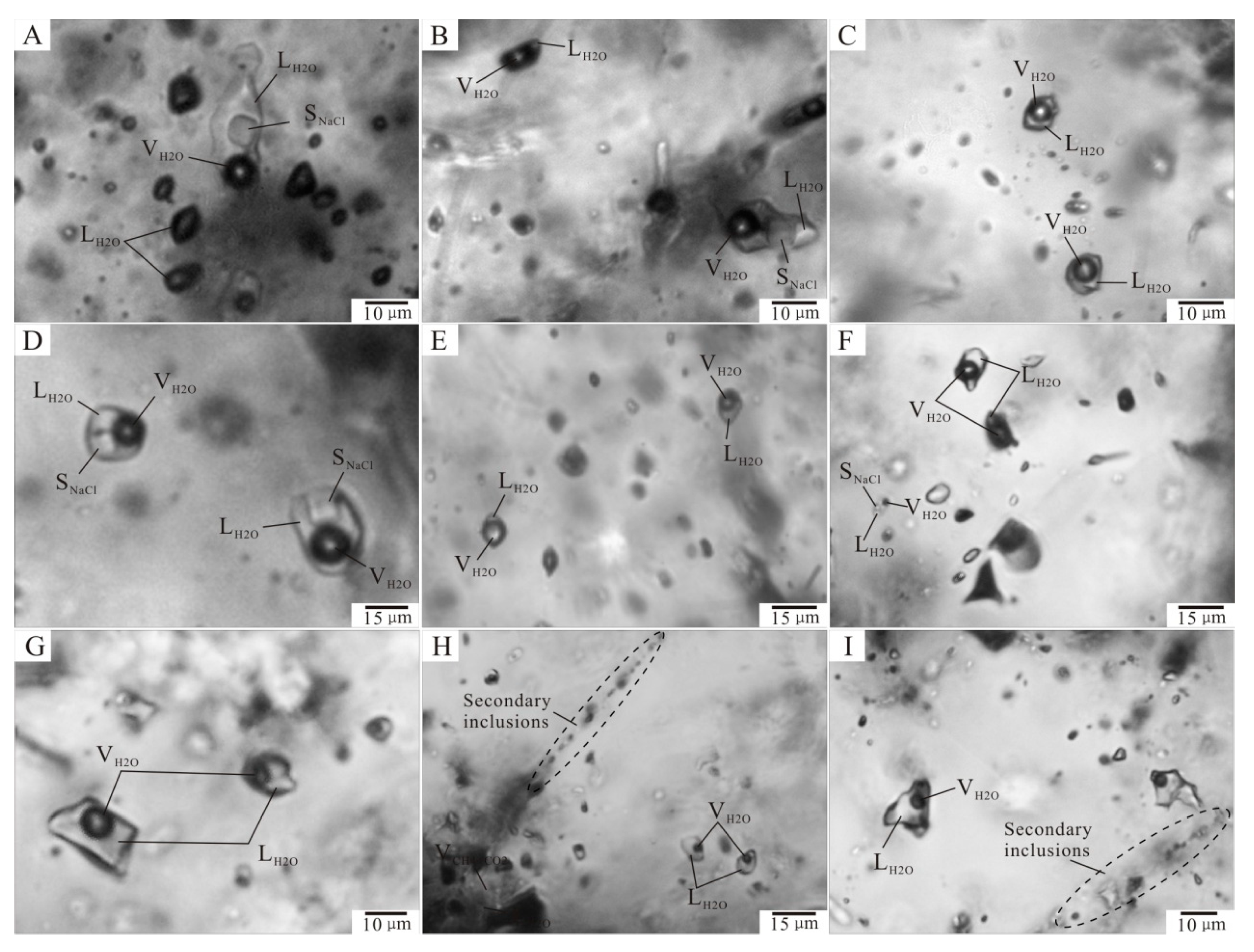 Minerals Free Full Text Fluid Evolution And Ore Genesis Of The Qibaoshan Polymetallic Ore Field Shandong Province China Constraints From Fluid Inclusions And H O S Isotopic Compositions Html