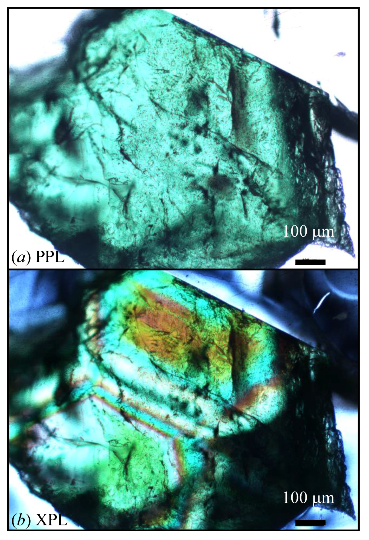 Minerals 09 00395 g002