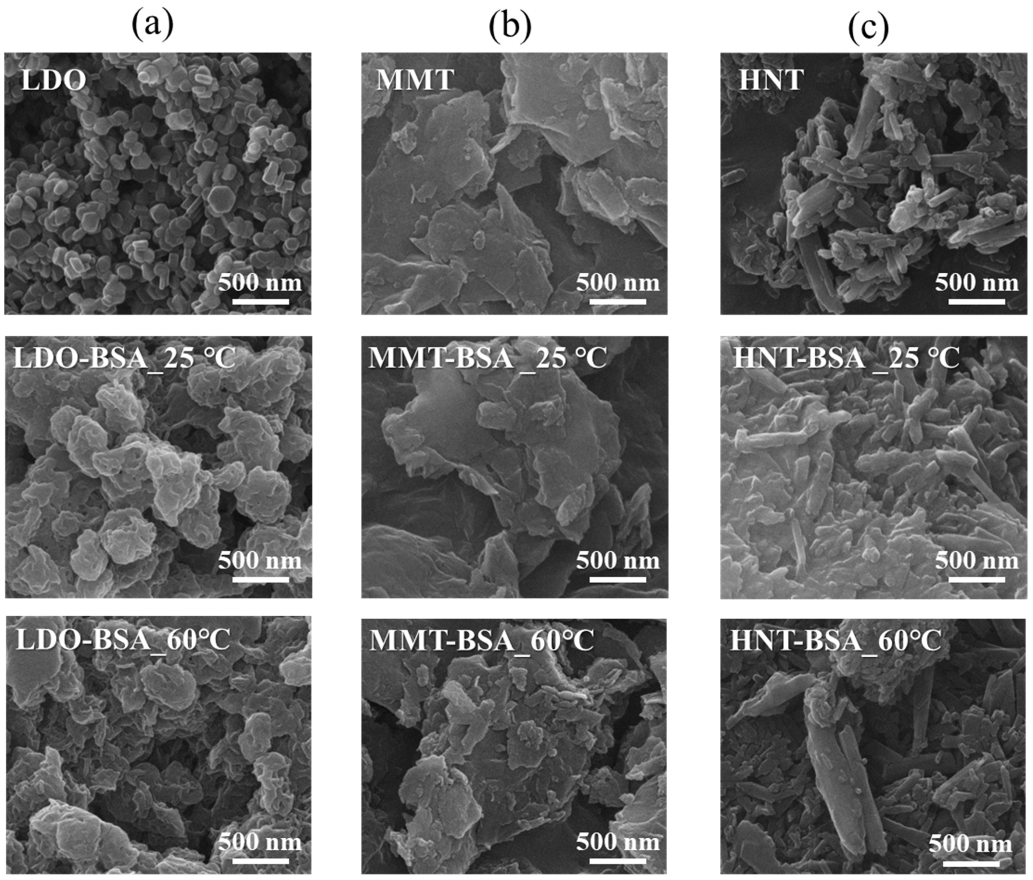 Minerals 09 00396 g002