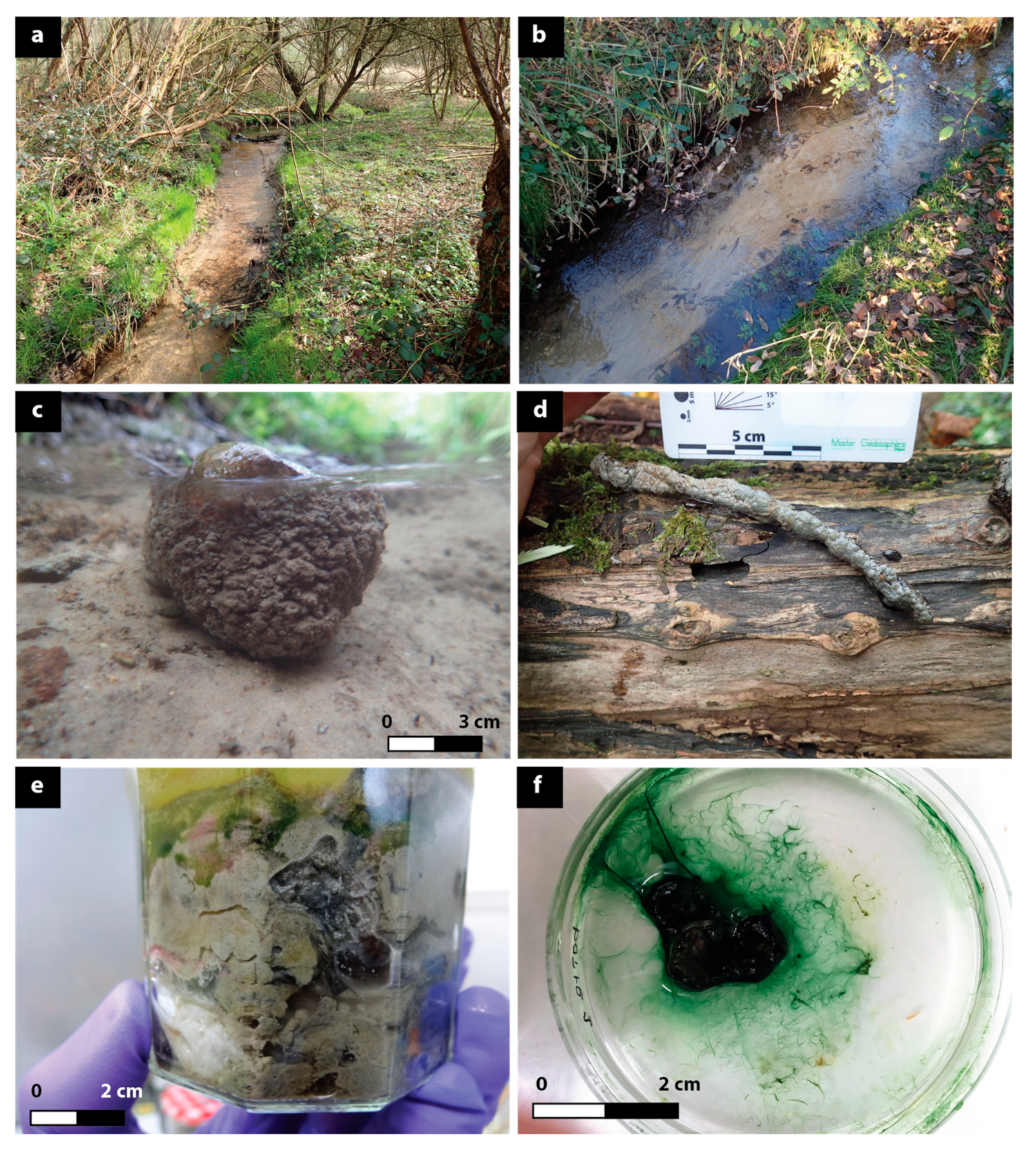 Minerals 09 00409 g001 Minerals 09 00409 g001