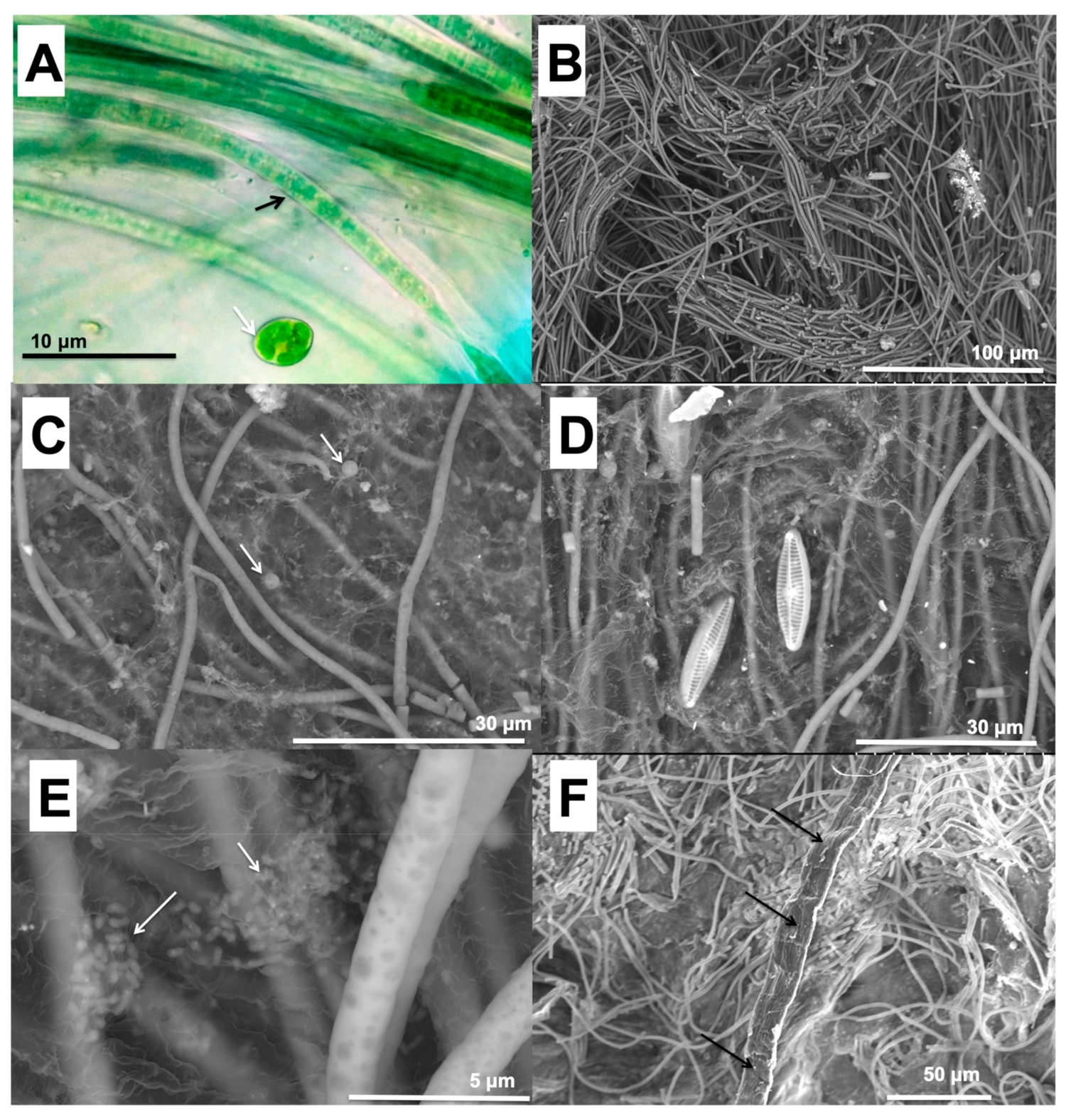 Minerals 09 00409 g003 Minerals 09 00409 g003