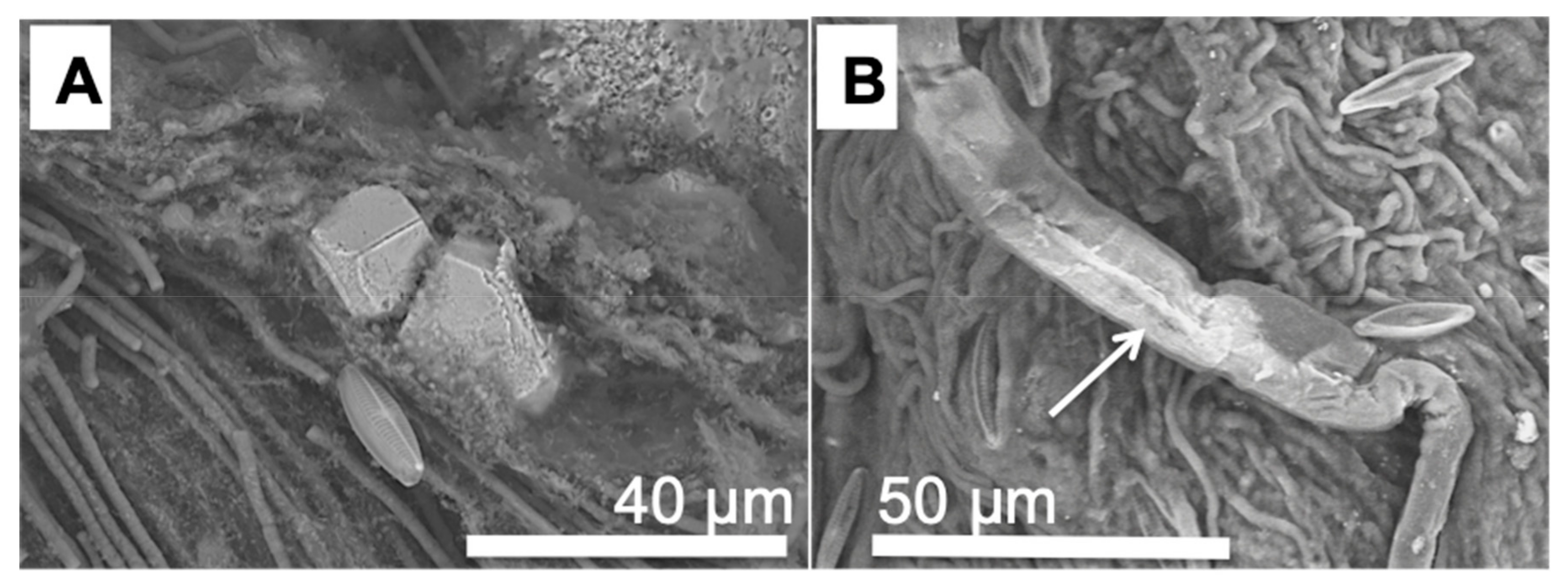 Minerals 09 00409 g006 Minerals 09 00409 g006