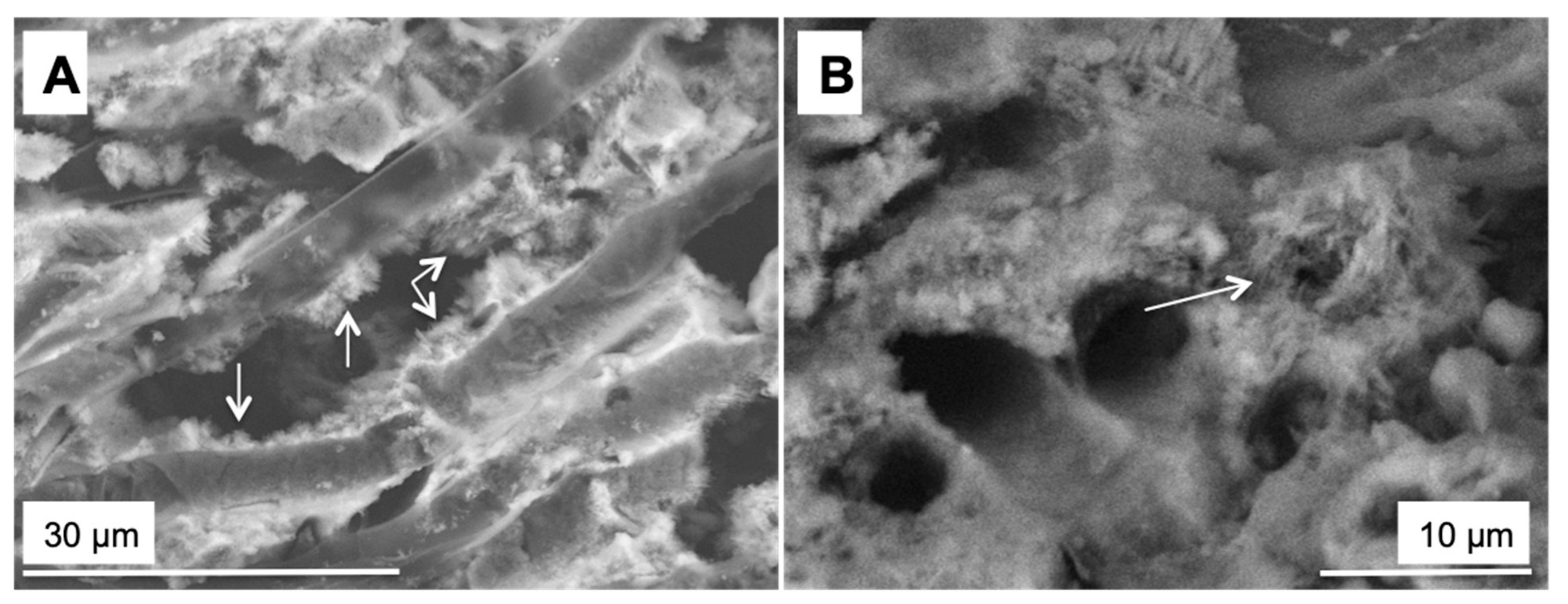 Minerals 09 00409 g009 Minerals 09 00409 g009