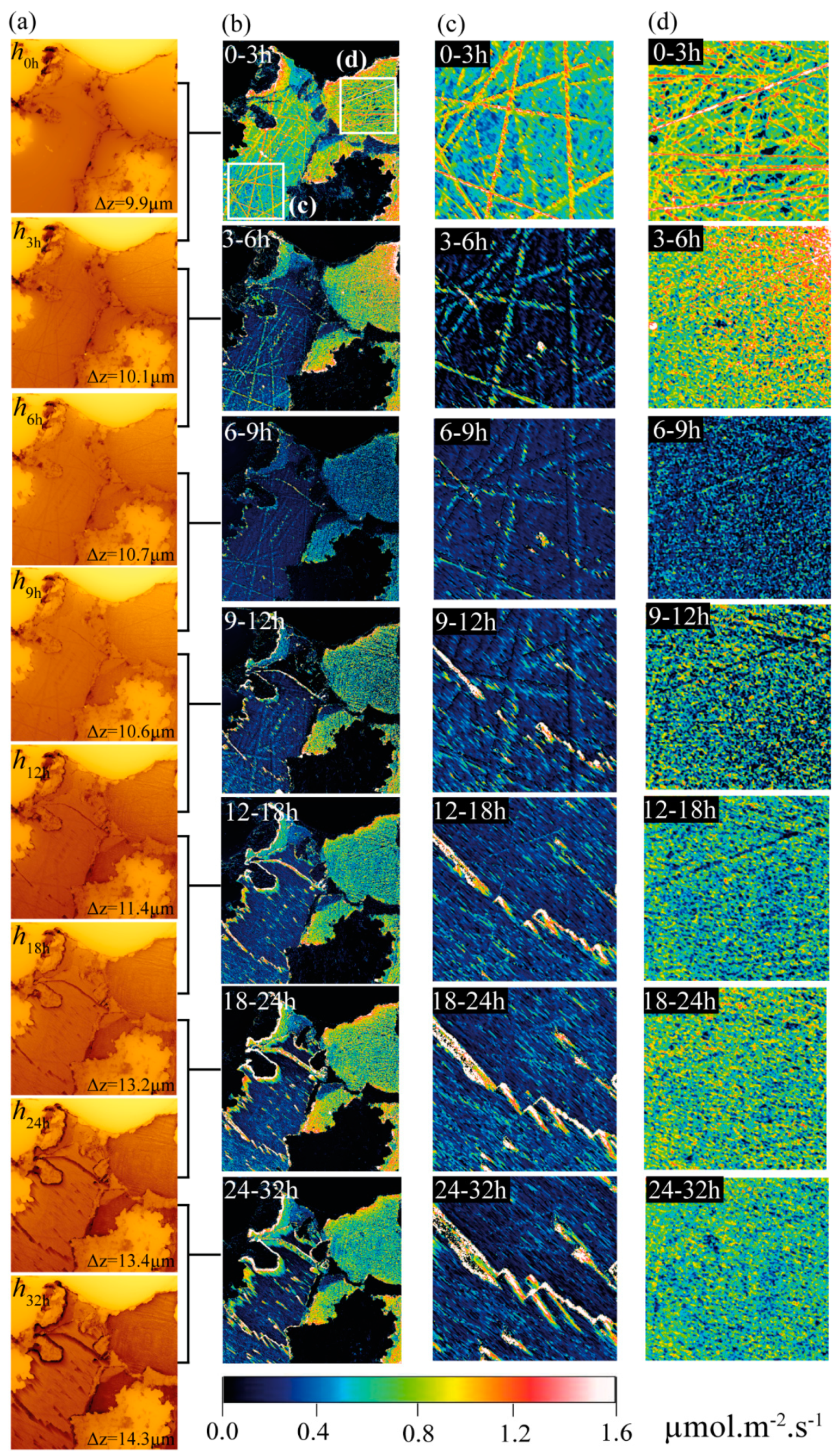 Minerals 09 00458 g003