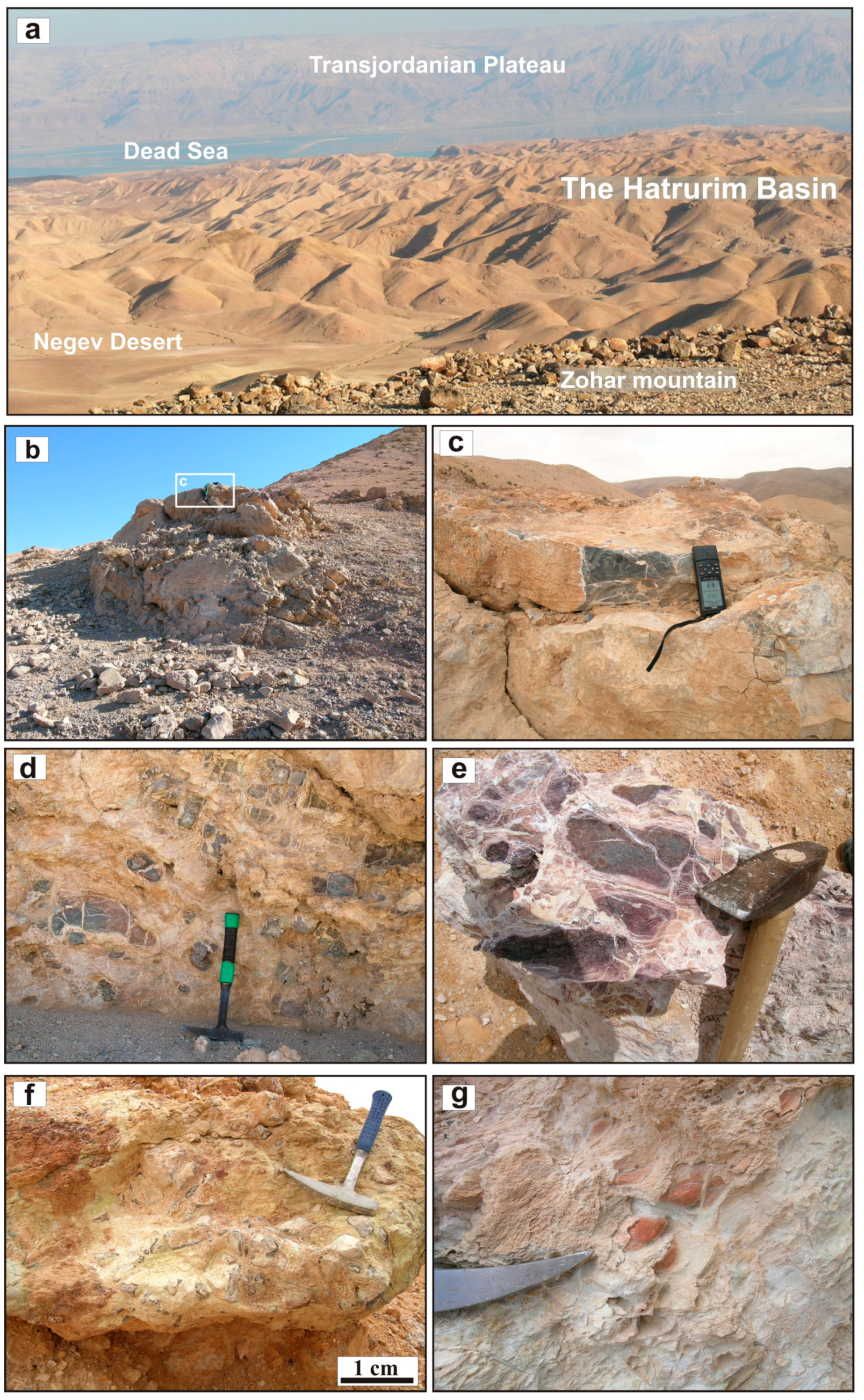 Minerals Free Full Text Mineralogical Diversity Of Ca2sio4