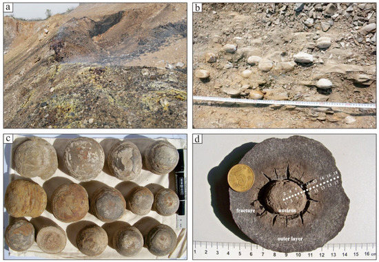 w-means × noroll concretion Iron Concretion Prehistoric Mud