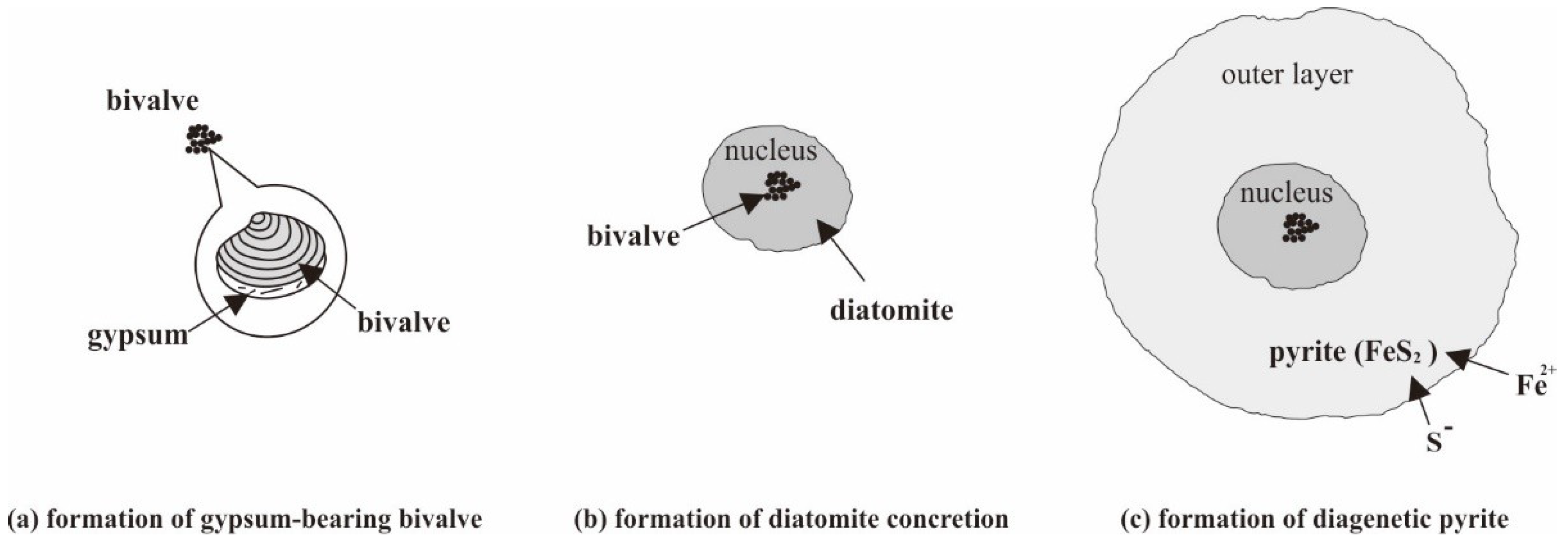 Minerals 09 00467 g010
