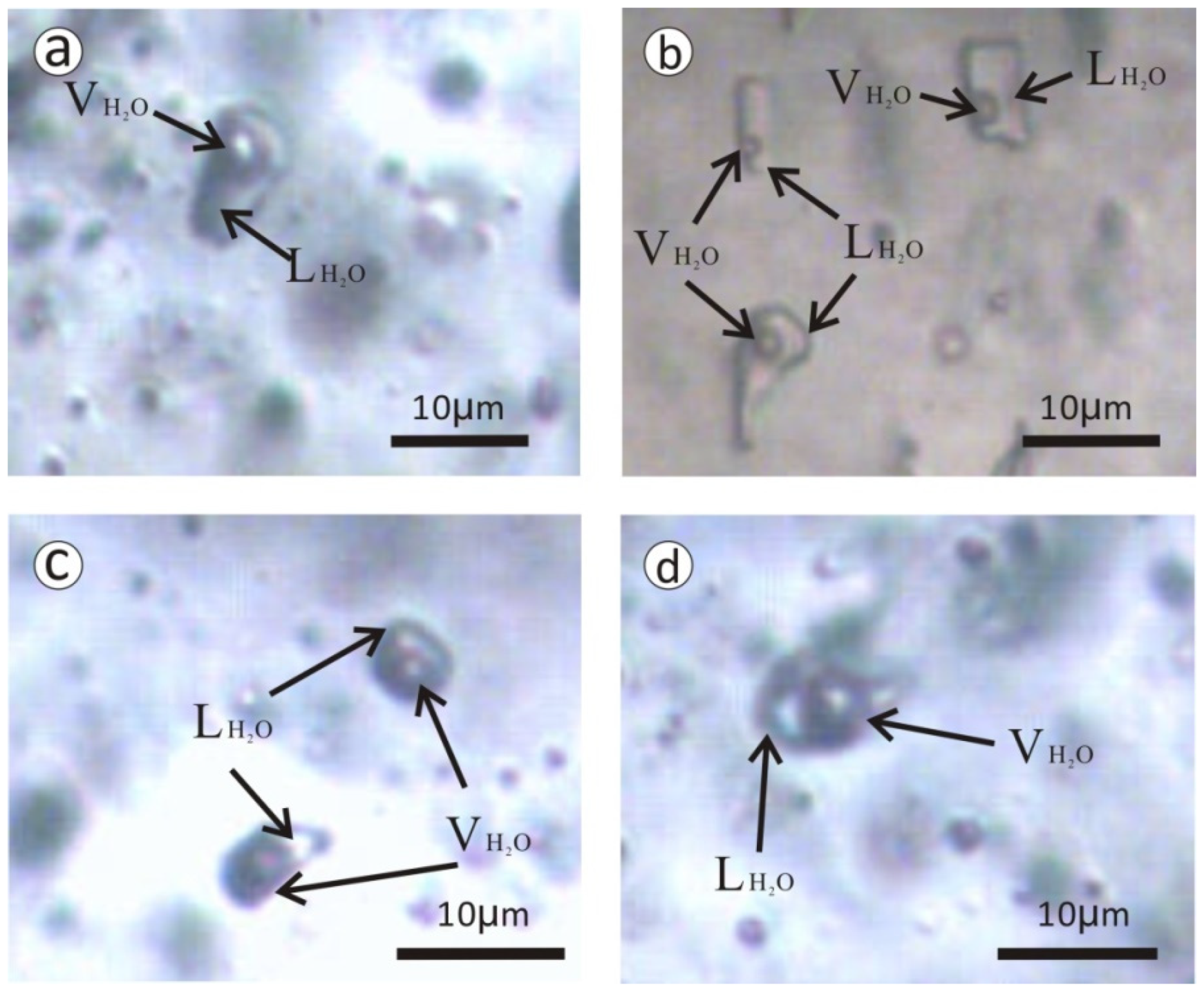 Minerals 09 00478 g006