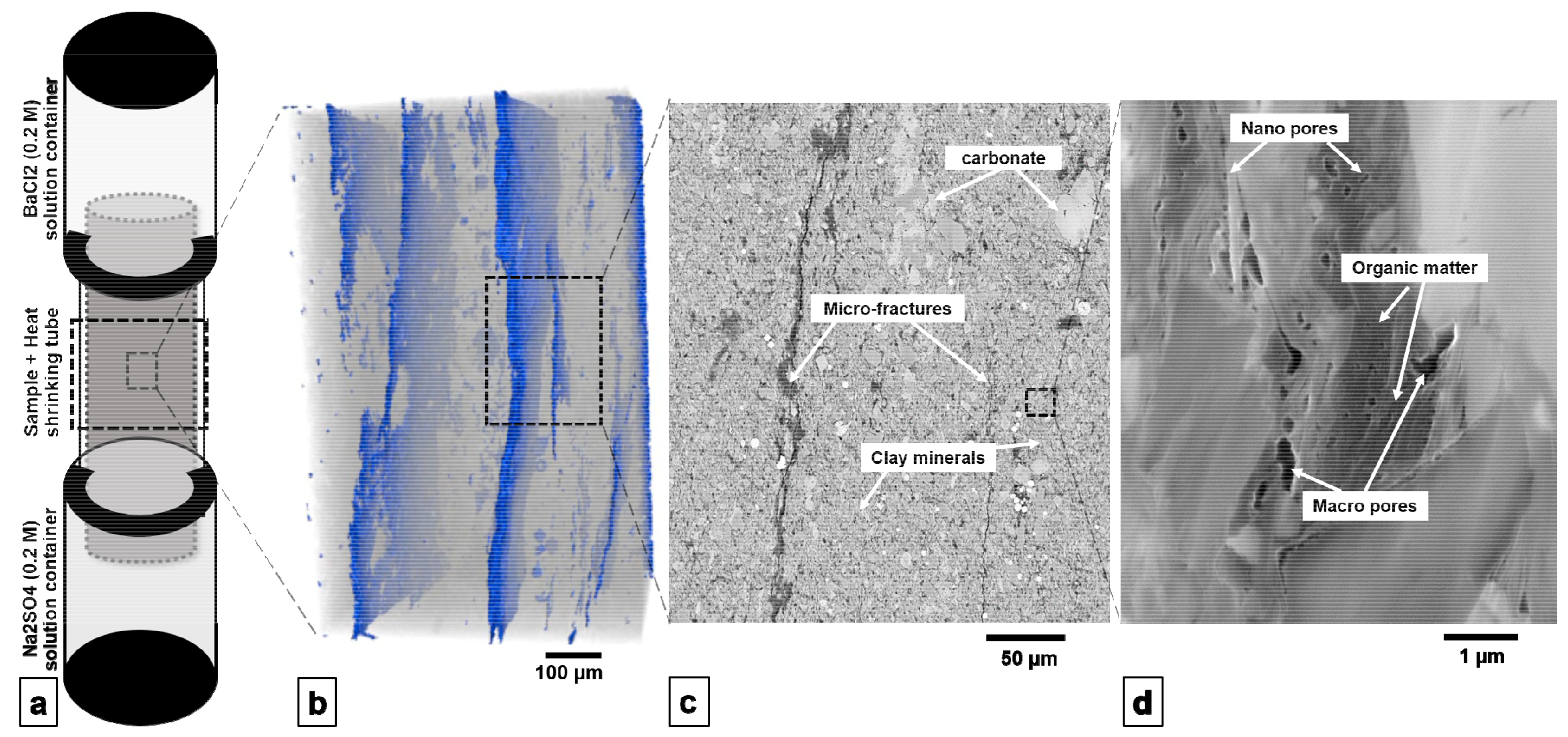 Minerals 09 00480 g001