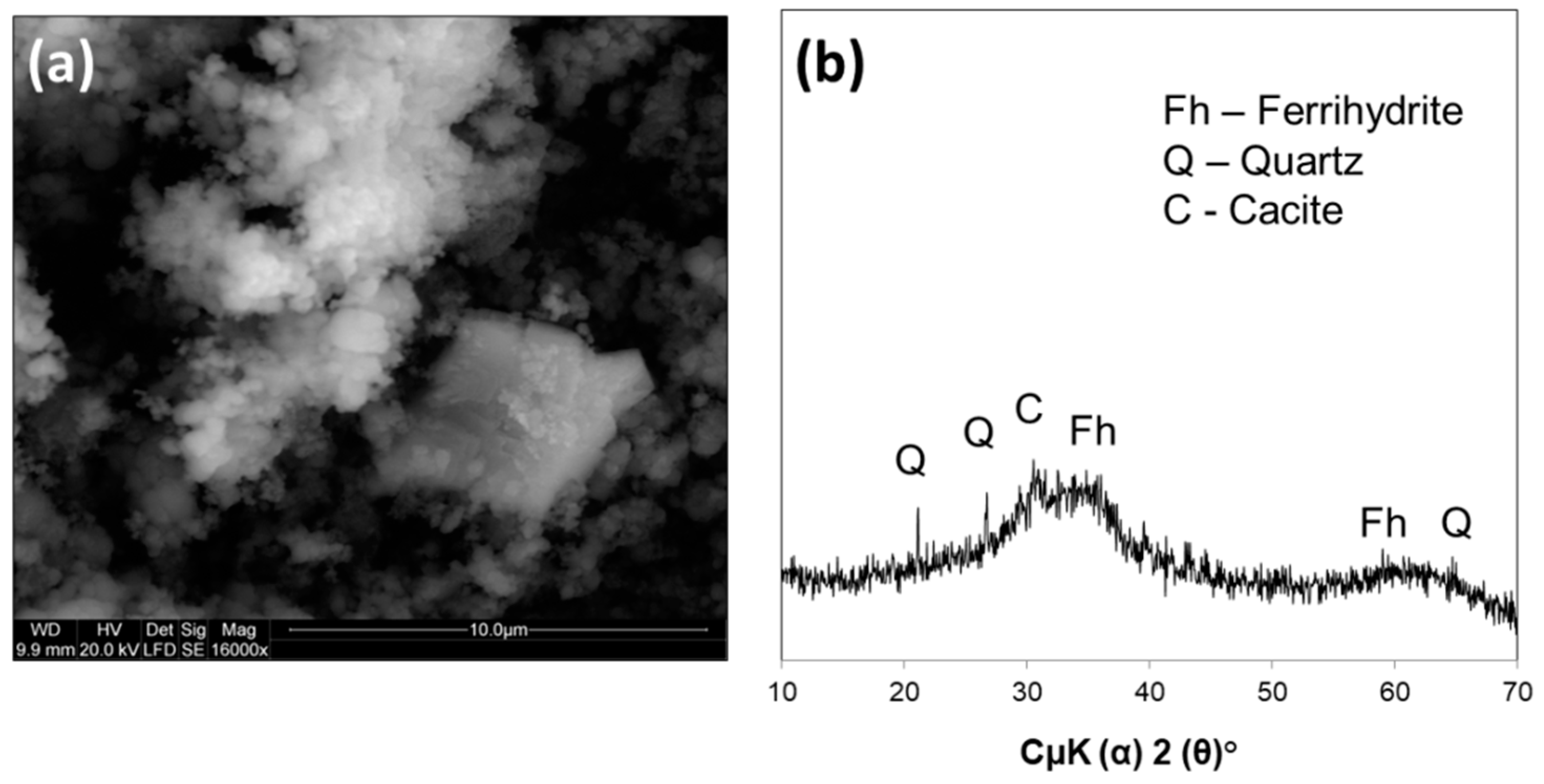 Joint effects of cadmium and copper on Apis mellifera forgers and larvae -  ScienceDirect