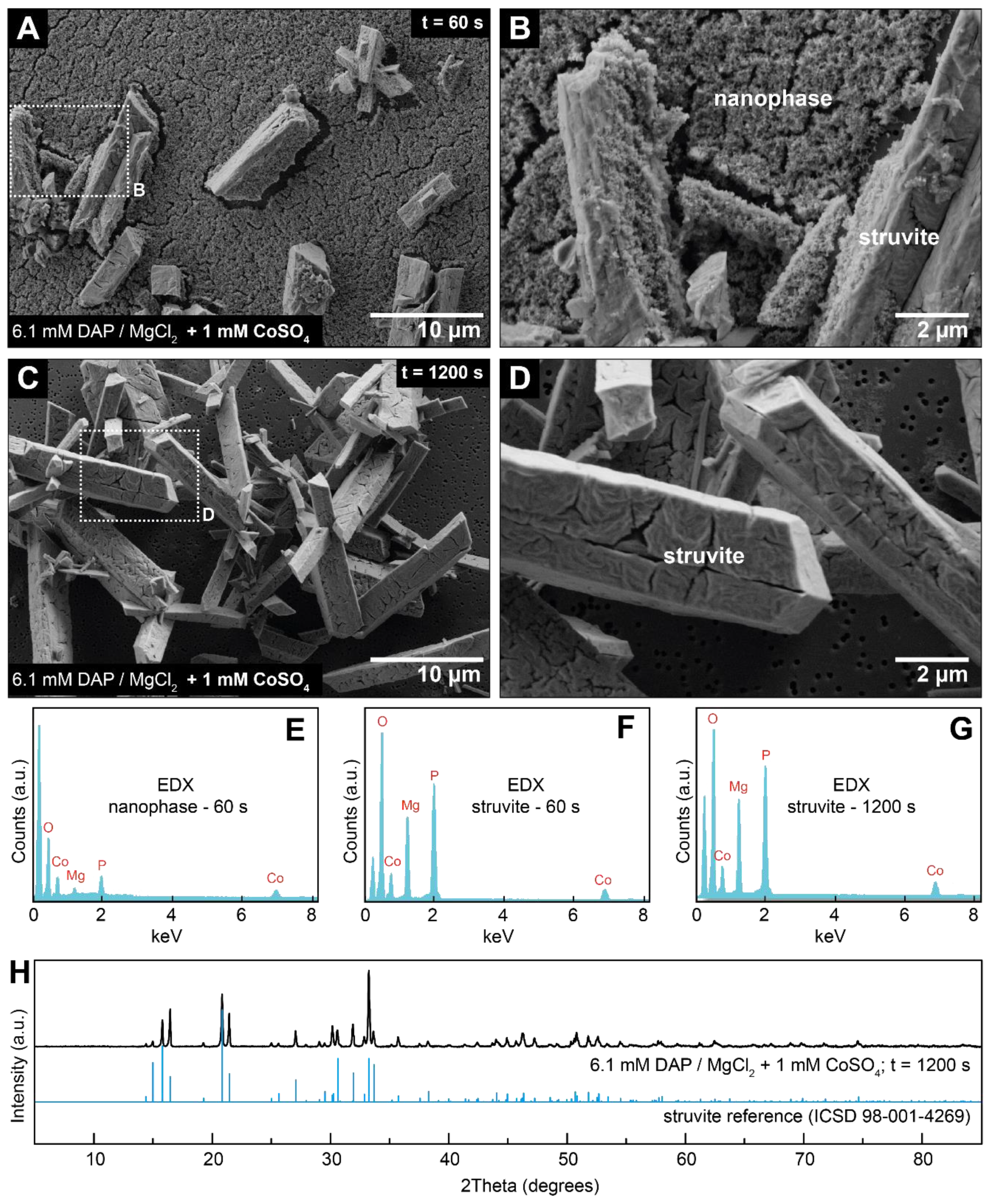 Minerals 09 00503 g005