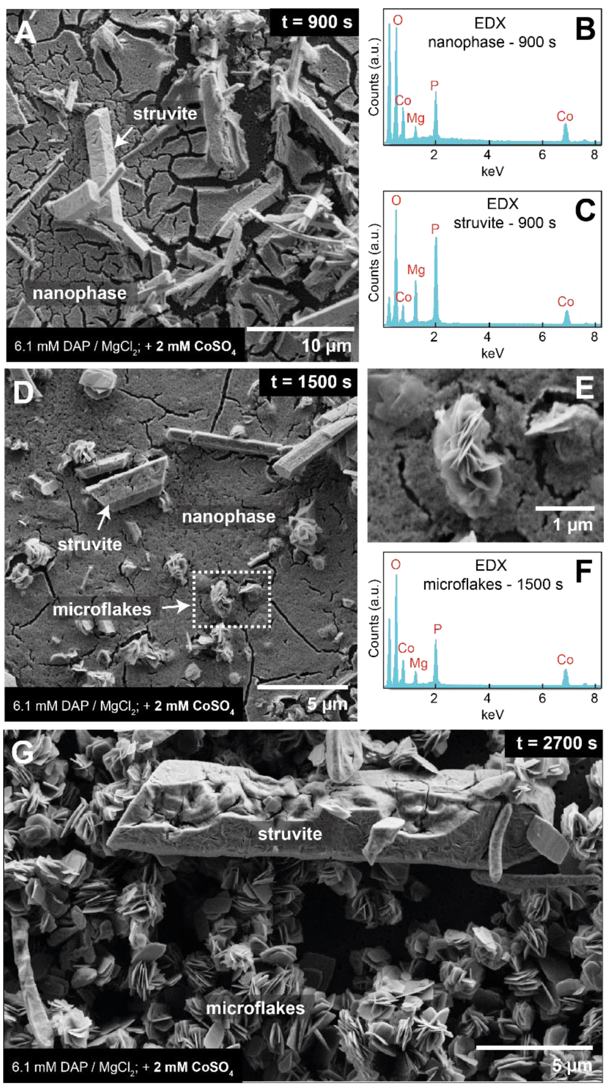 Minerals 09 00503 g007