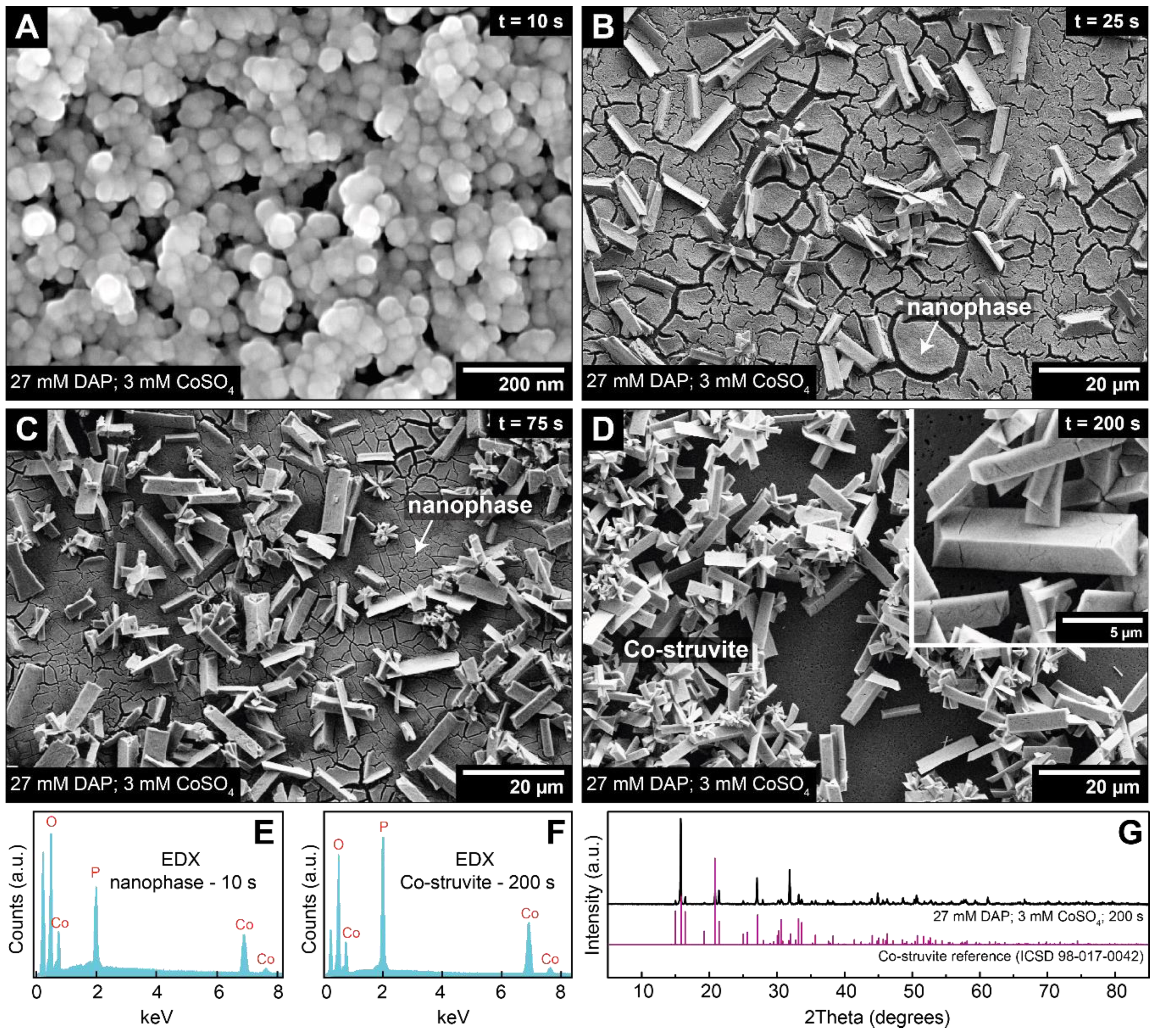 Minerals 09 00503 g009