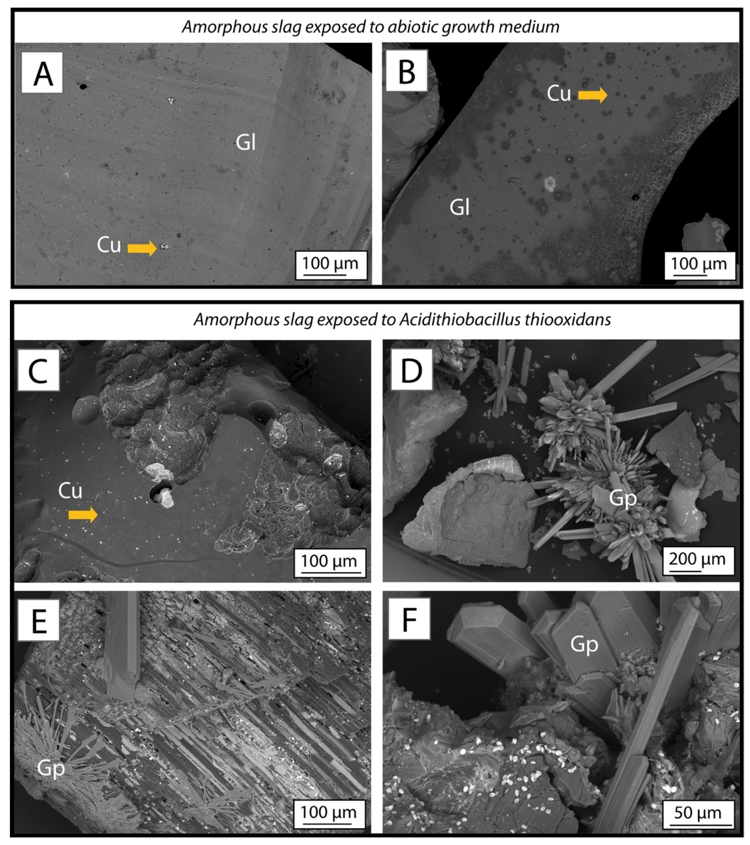 Minerals 09 00542 g008