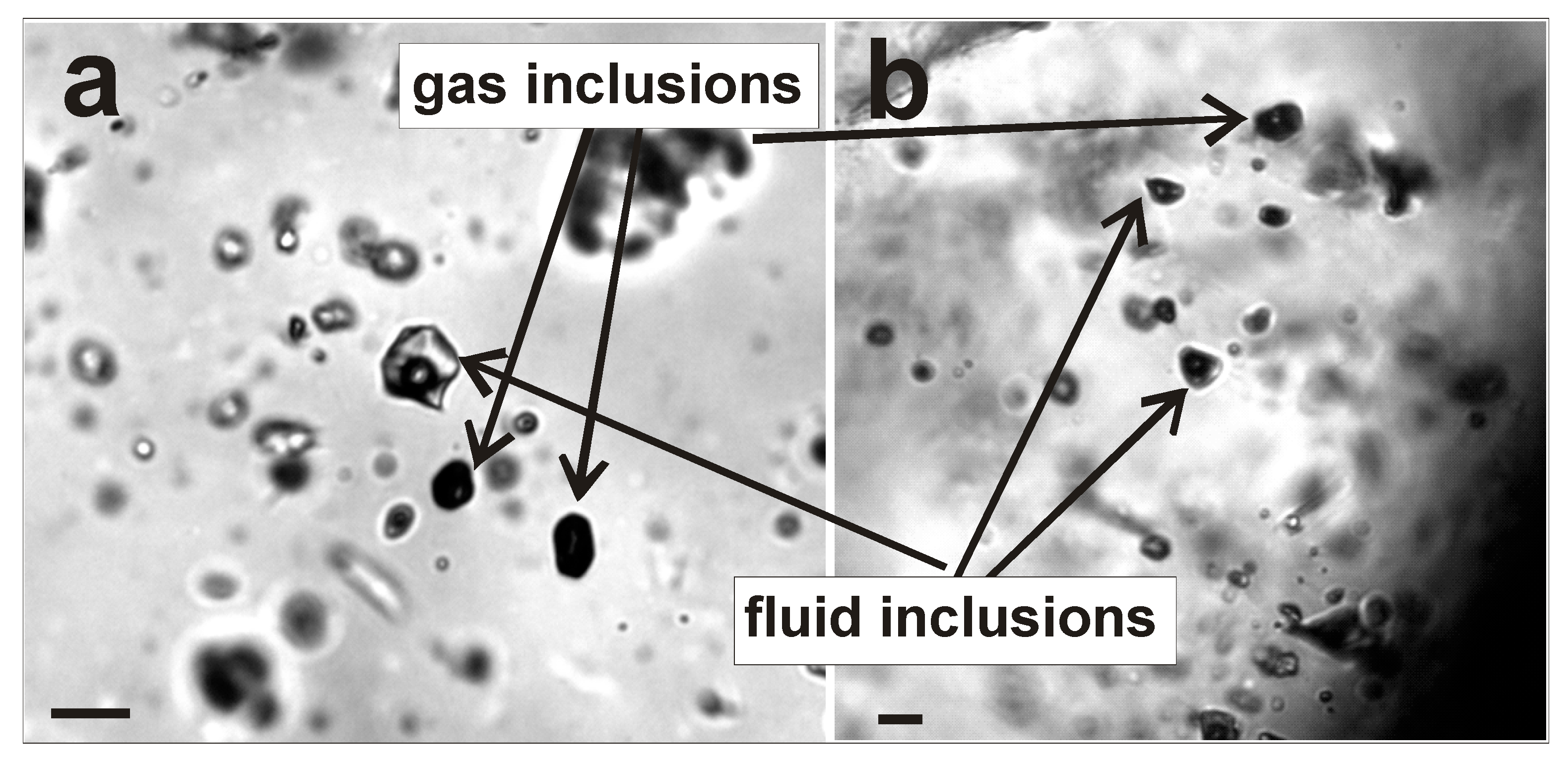 Minerals 09 00572 g009 550