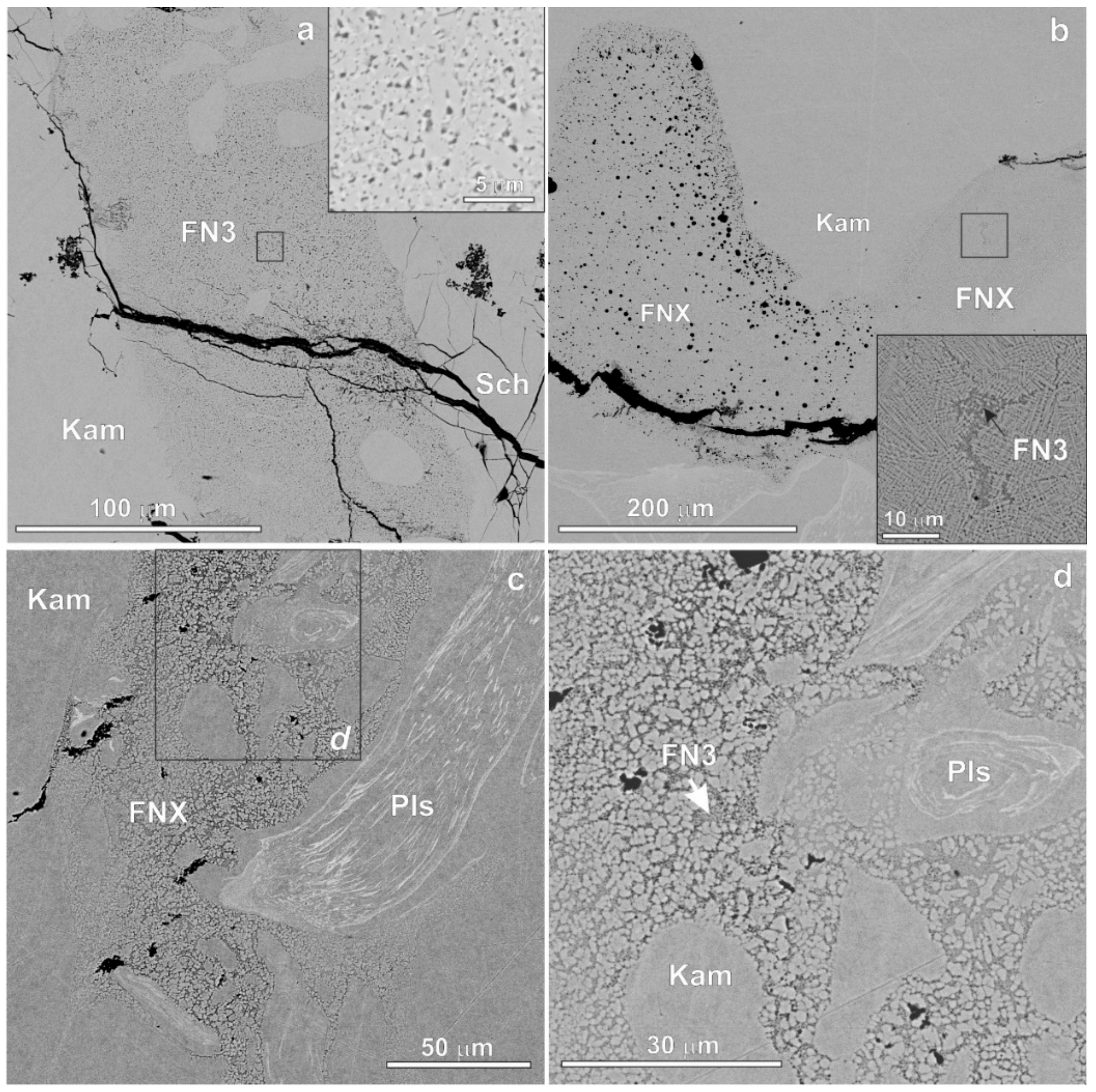 Minerals 09 00616 g005