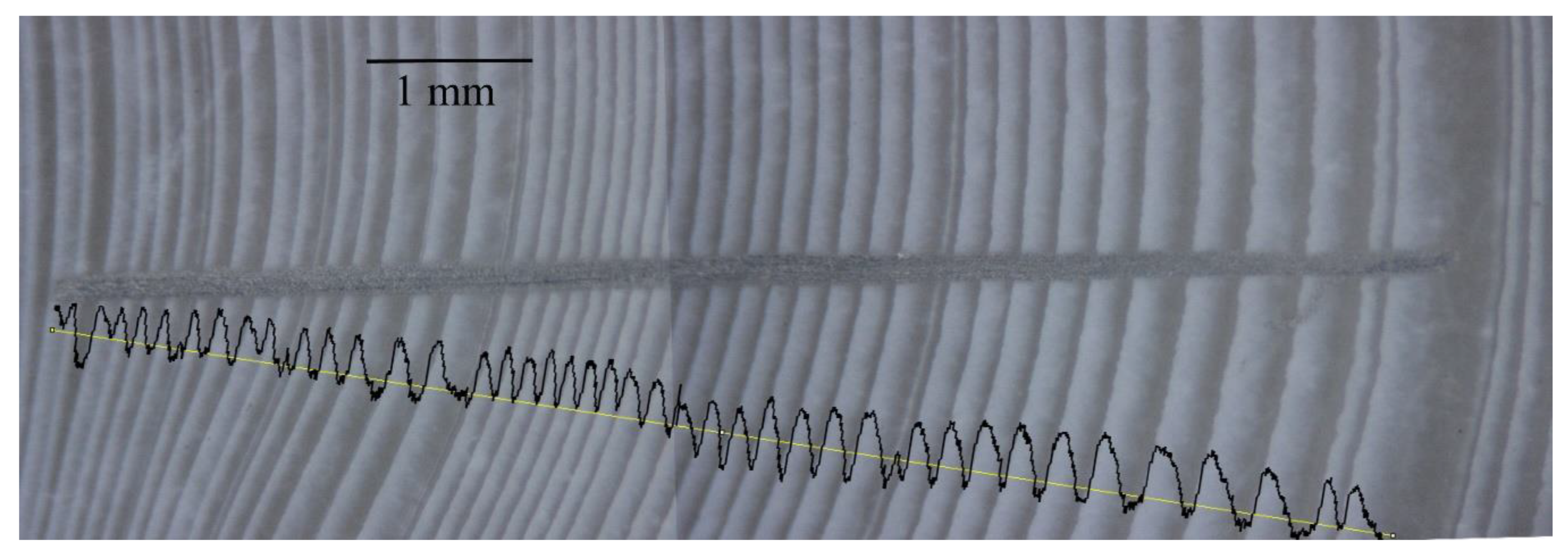Minerals 09 00634 g002 550