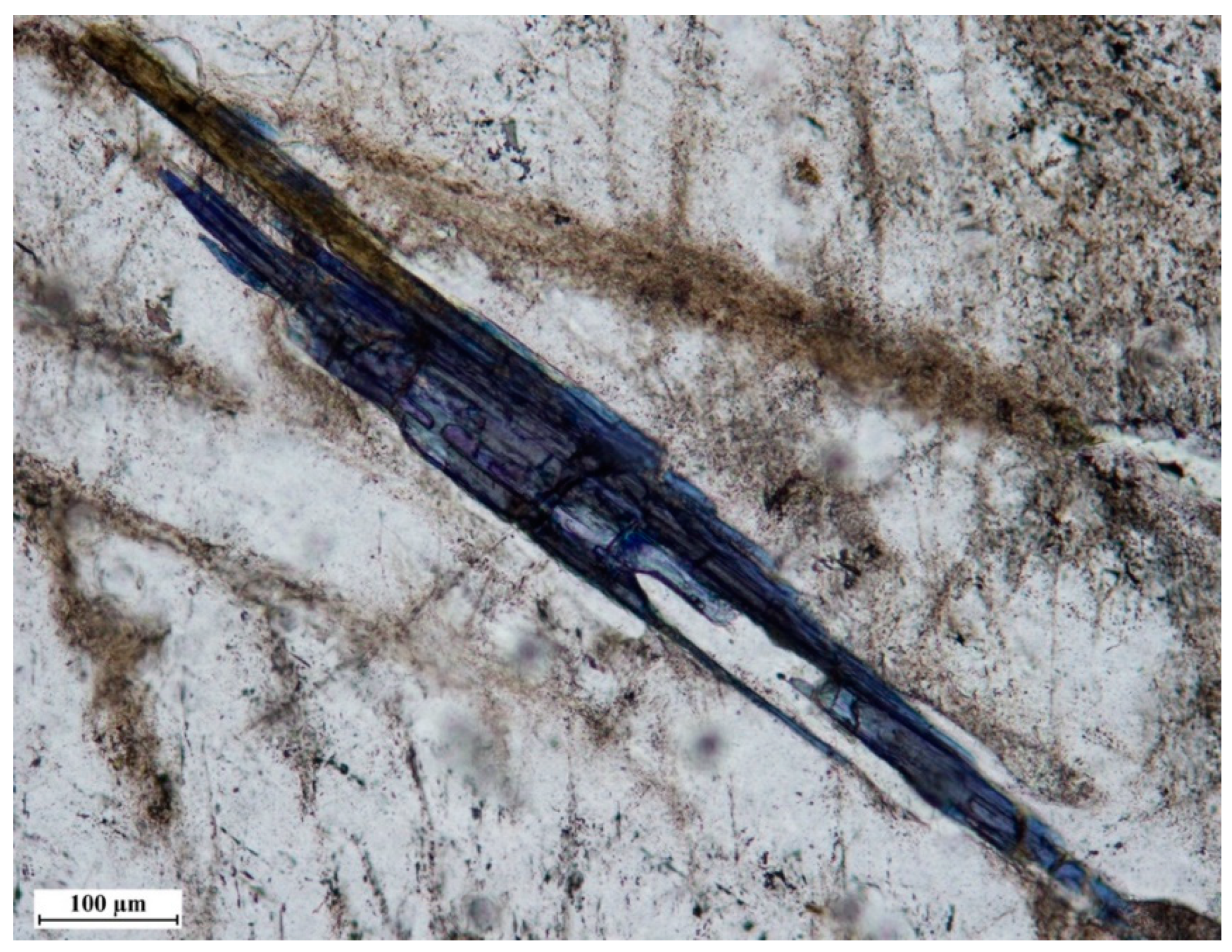 Minerals 09 00644 g008