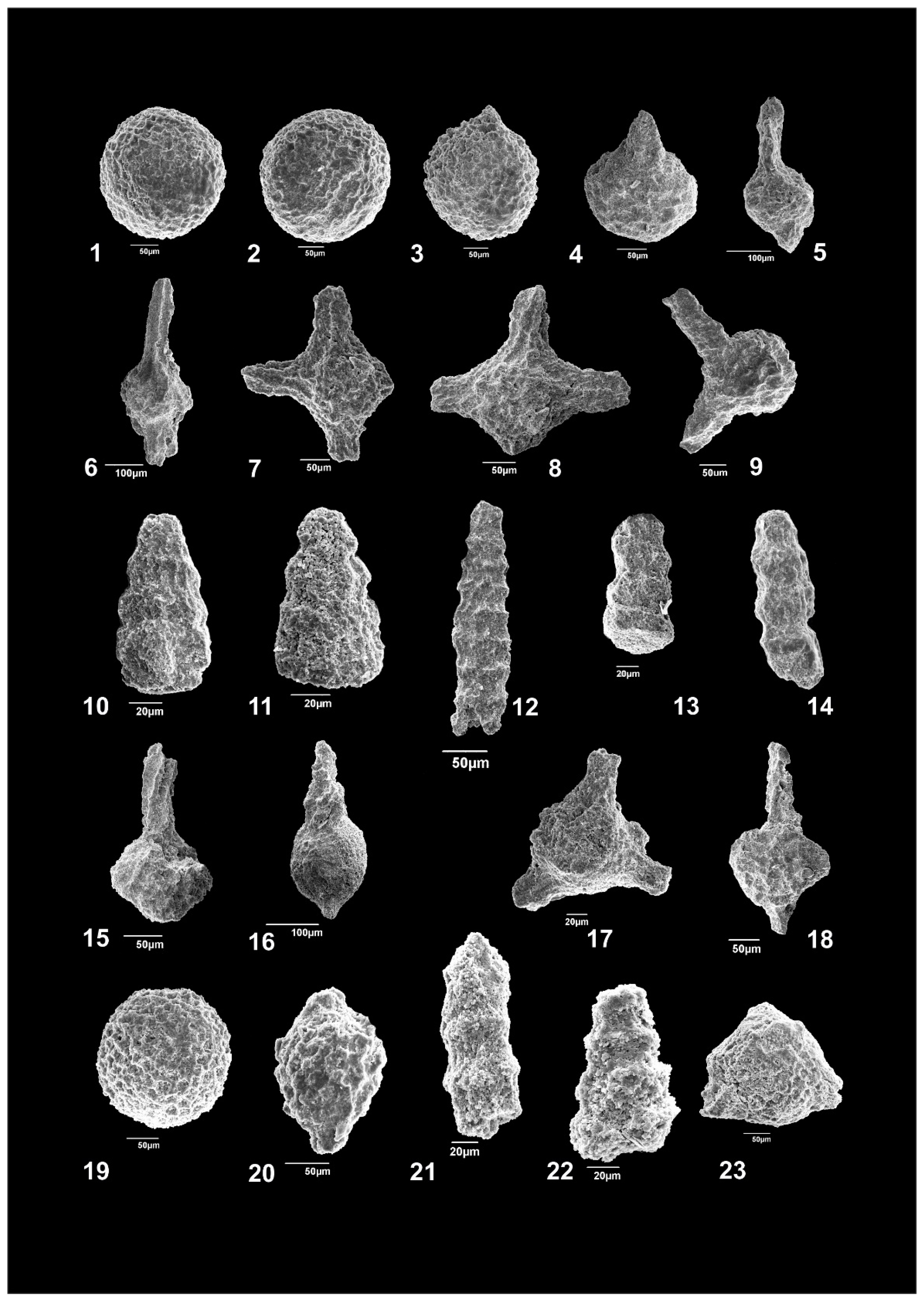 Minerals 09 00652 g008 Minerals 09 00652 g008