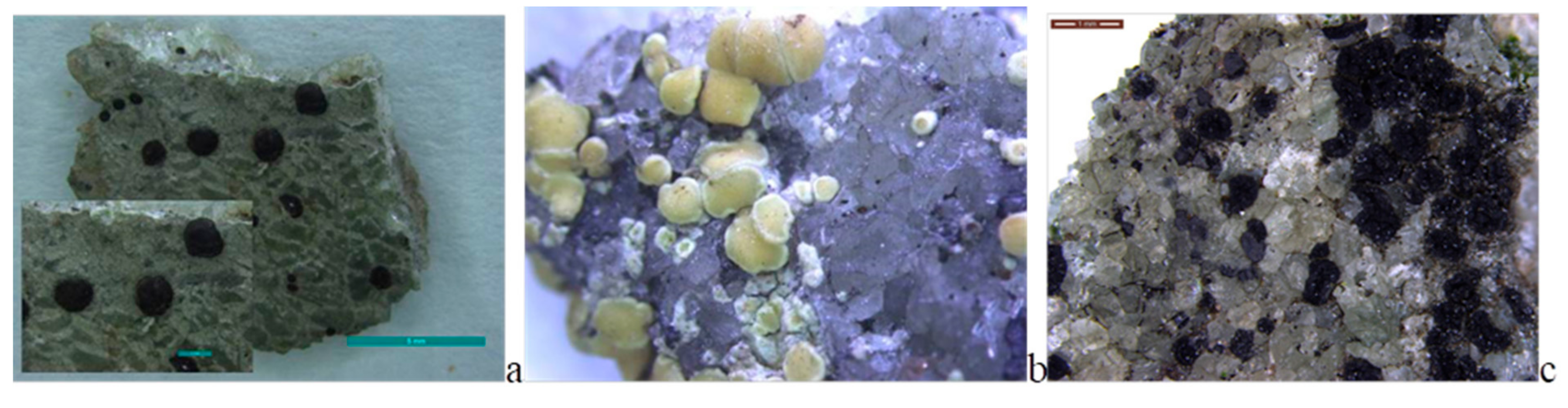 Minerals 09 00656 g005