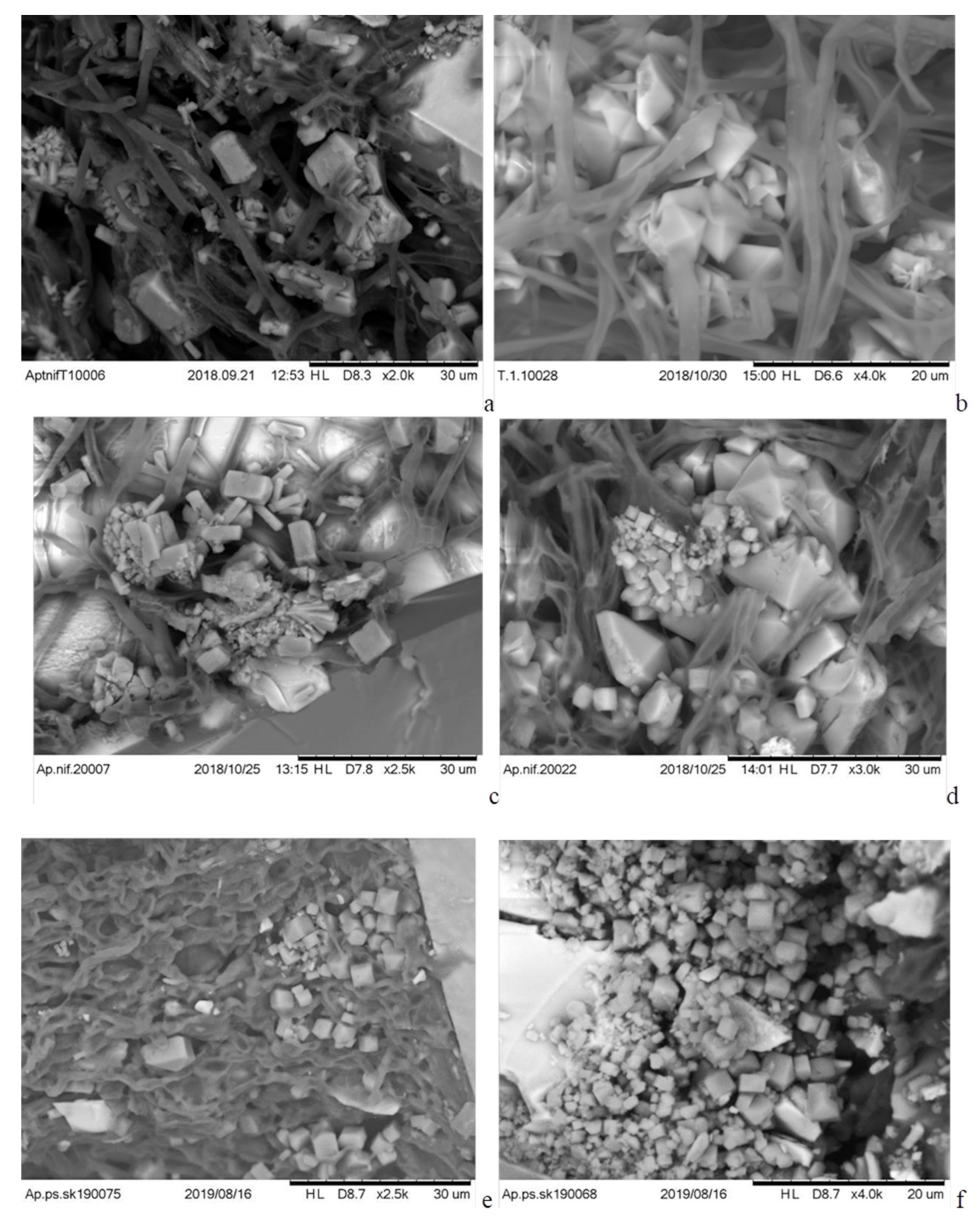 Minerals 09 00656 g006