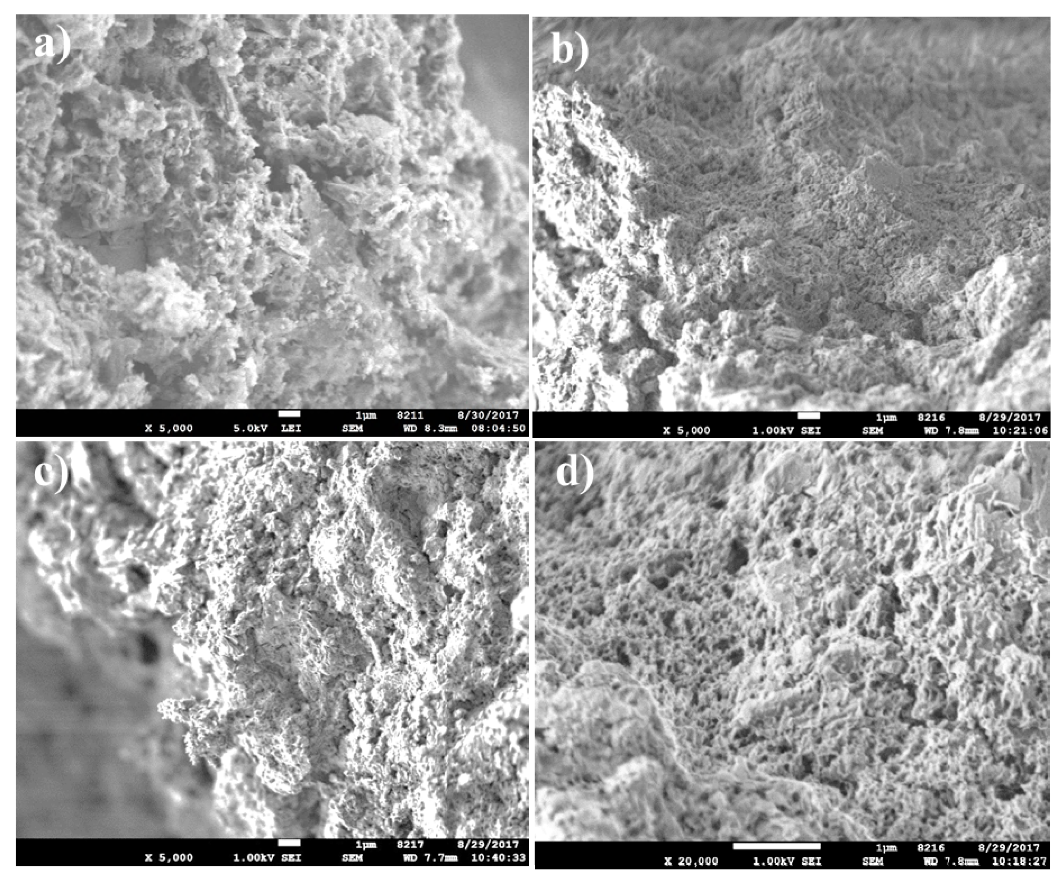 Minerals 09 00719 g010