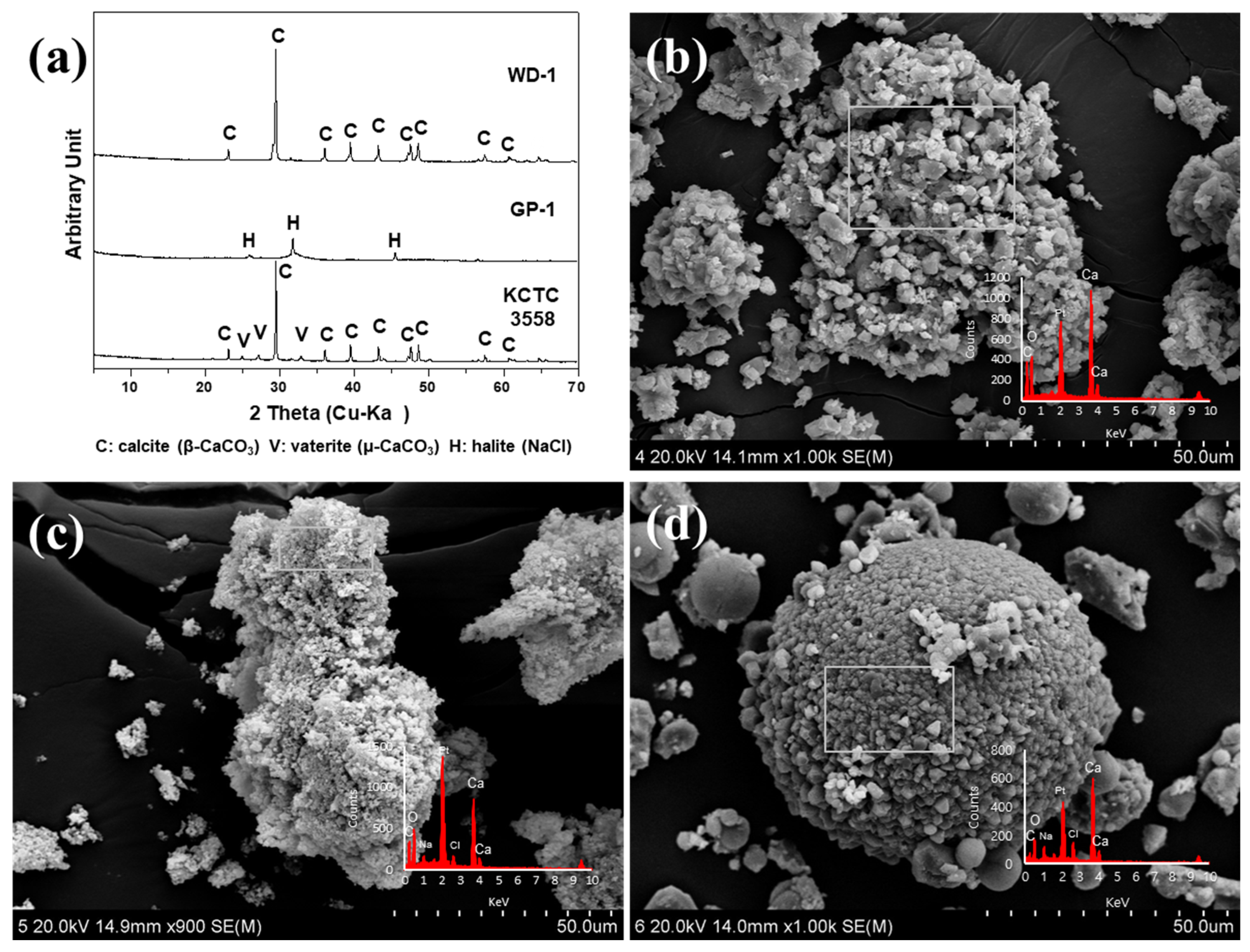 Minerals 09 00722 g004 Minerals 09 00722 g004